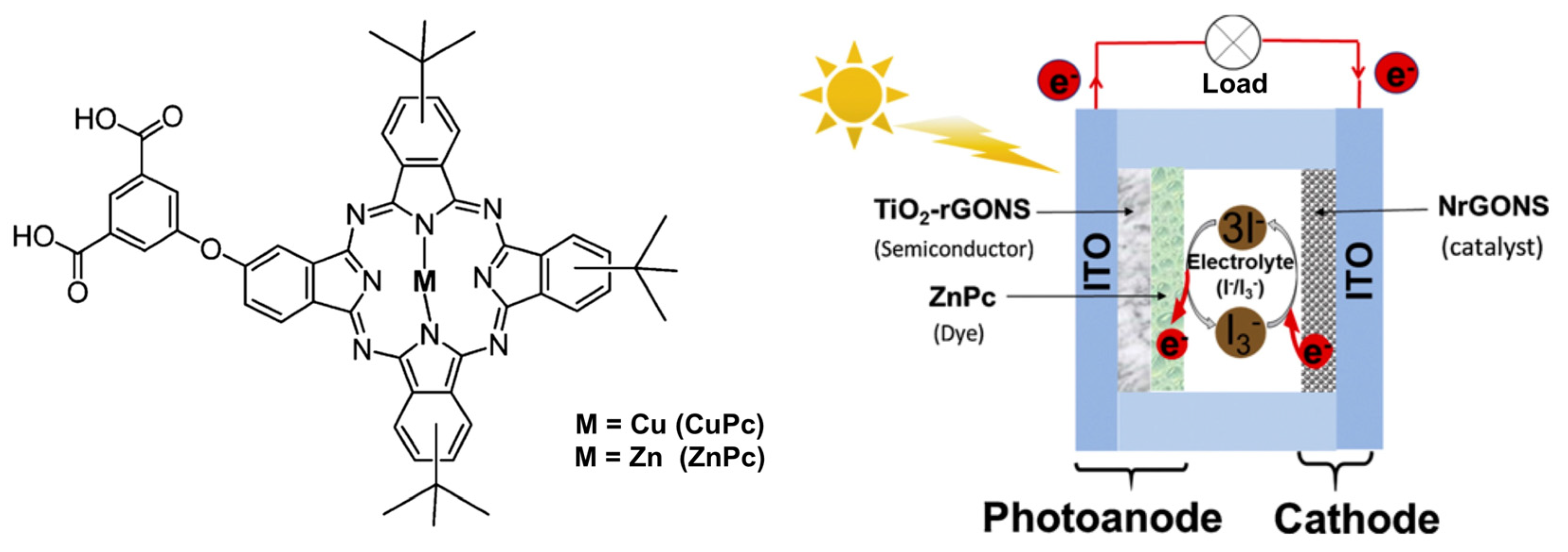Molecules 29 00559 g007 Molecules 29 00559 g007