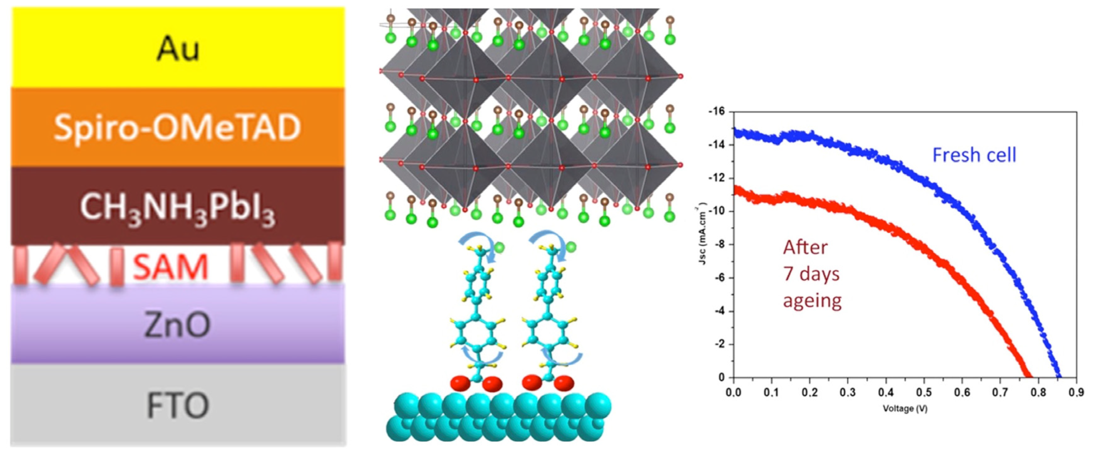Molecules 29 00559 g010 Molecules 29 00559 g010