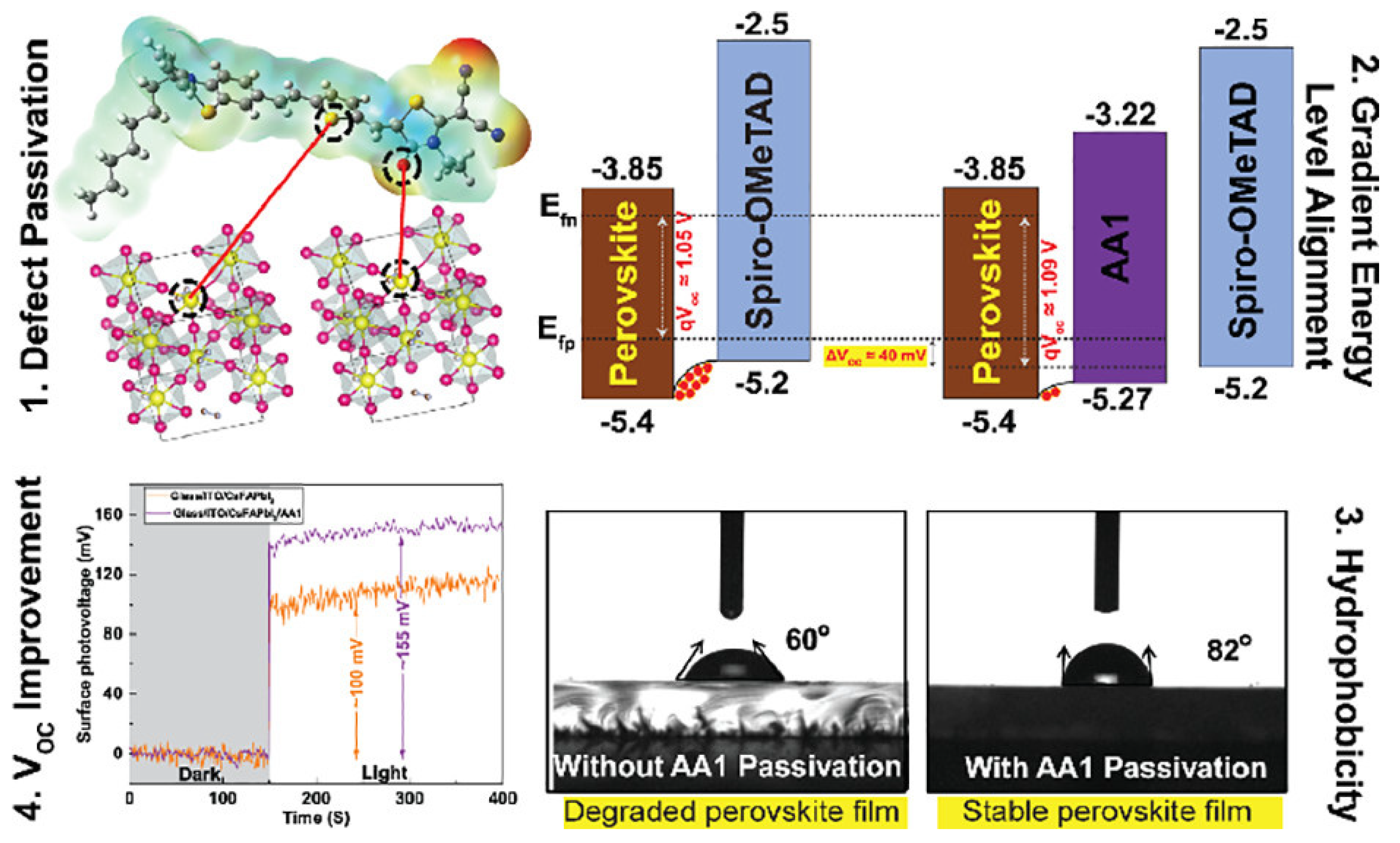 Molecules 29 00559 g011 Molecules 29 00559 g011