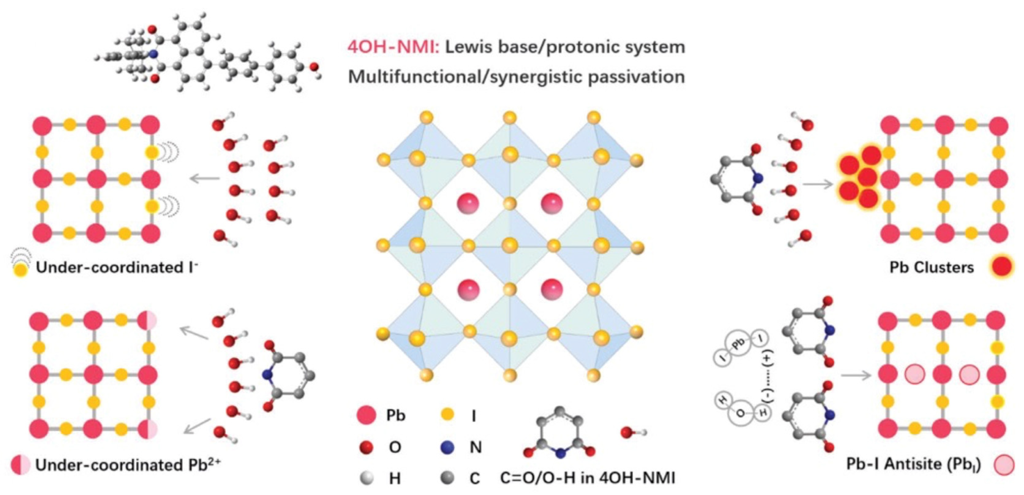 Molecules 29 00559 g012 Molecules 29 00559 g012