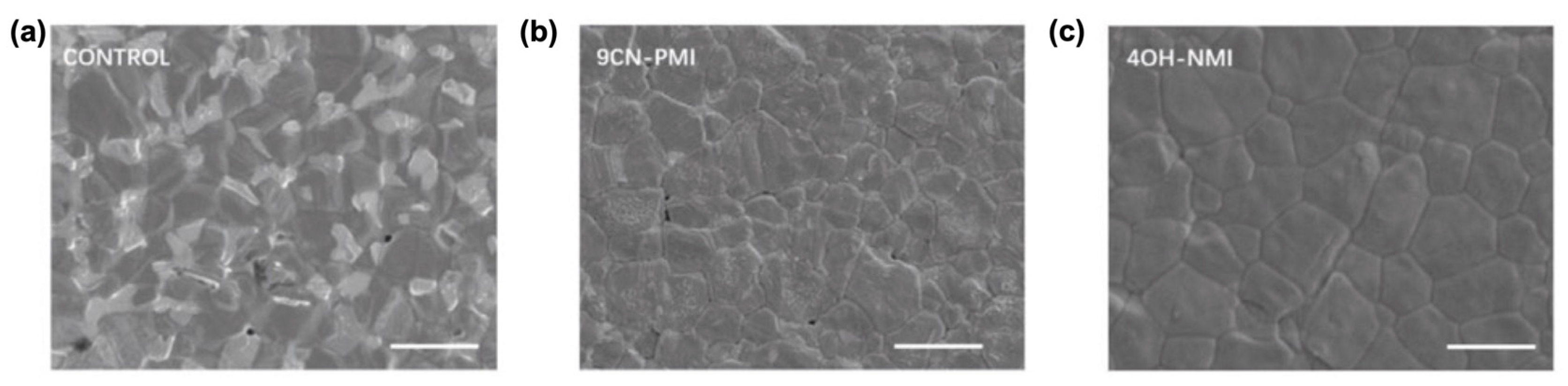 Molecules 29 00559 g013 Molecules 29 00559 g013