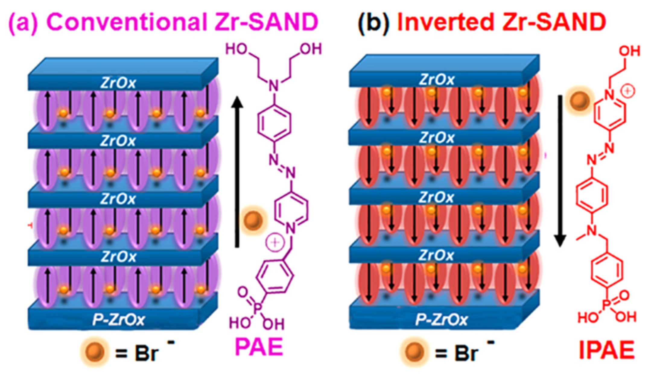 Molecules 29 00559 g017 Molecules 29 00559 g017