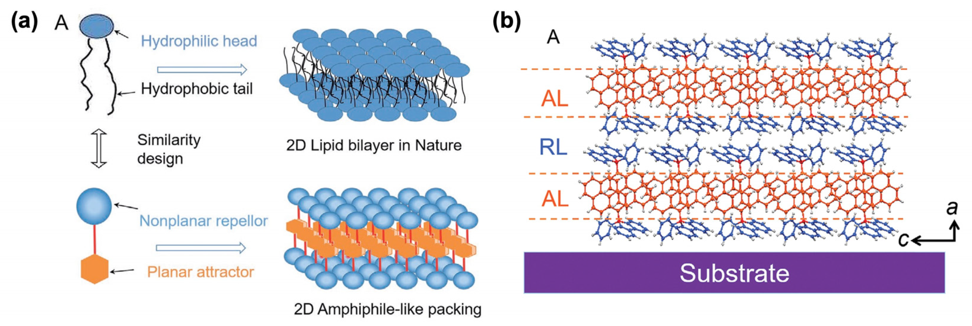 Molecules 29 00559 g021 Molecules 29 00559 g021