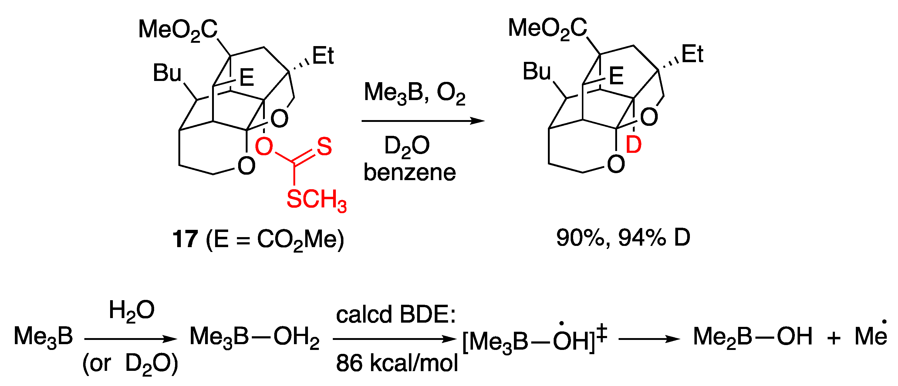 Molecules 29 00569 g015
