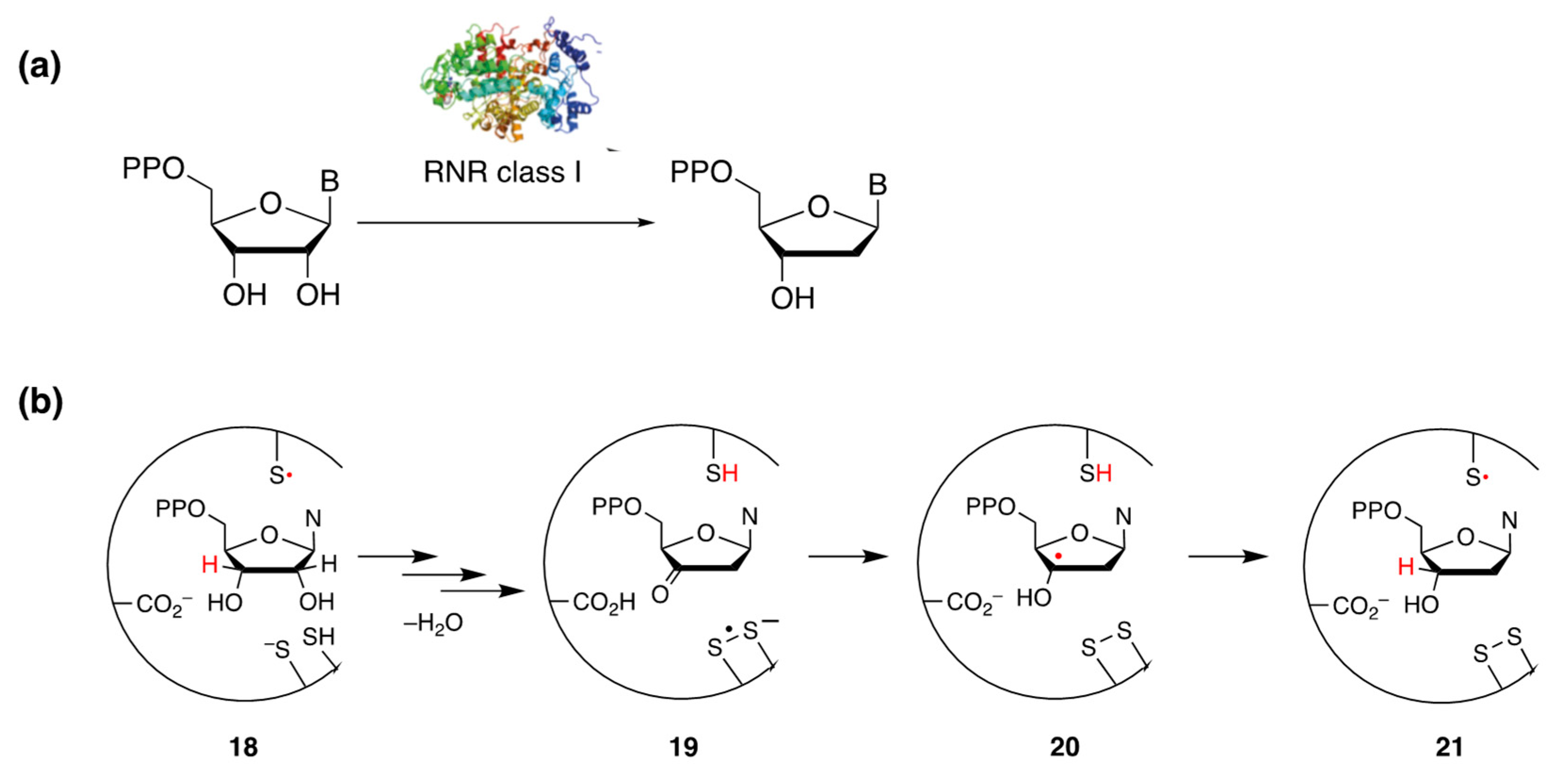 Molecules 29 00569 g044