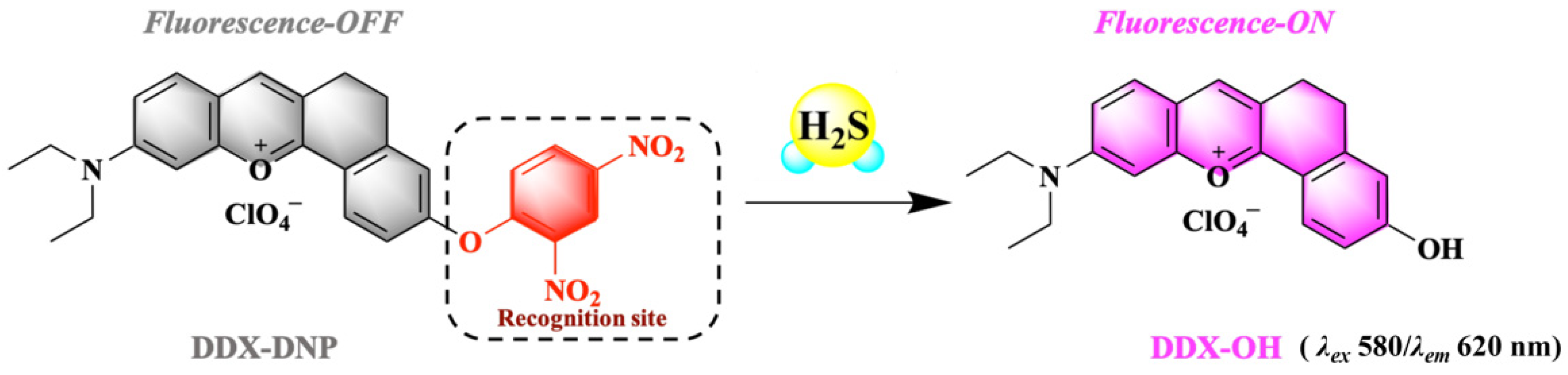 Molecules 29 00577 sch001