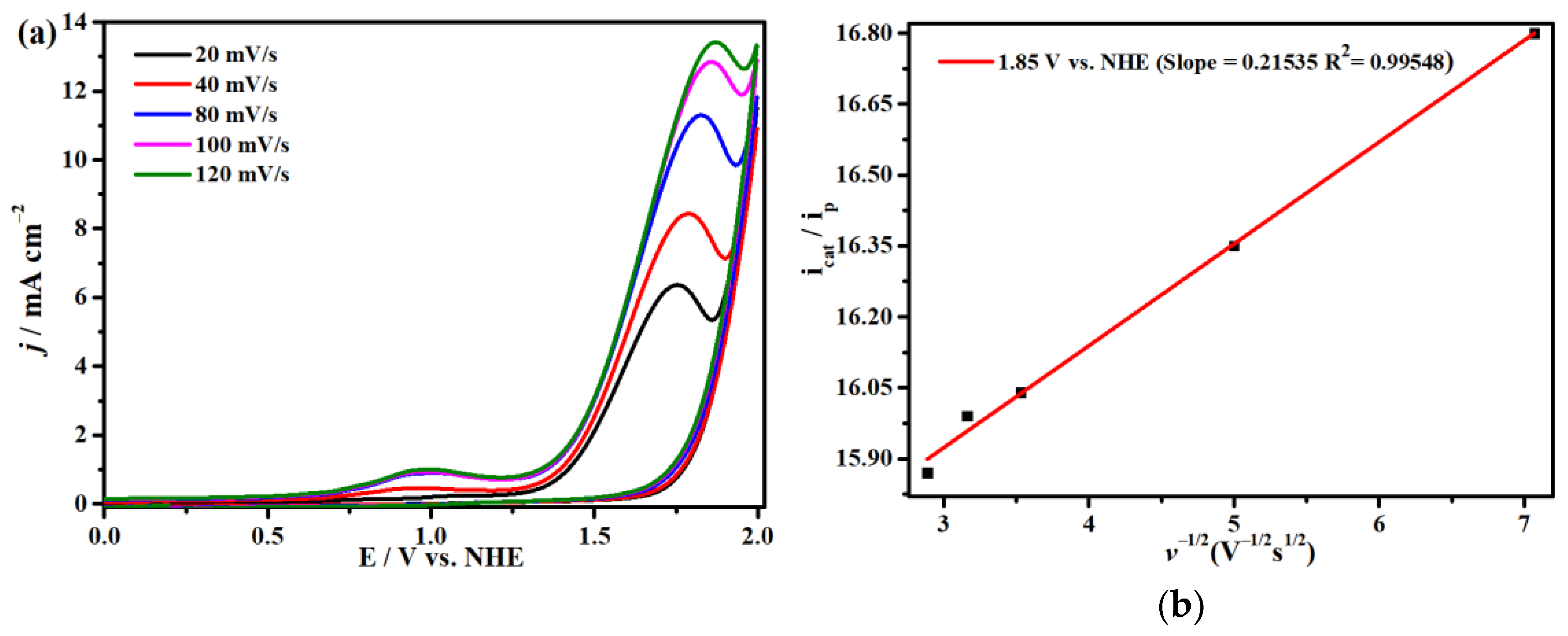 Molecules 29 00578 g005