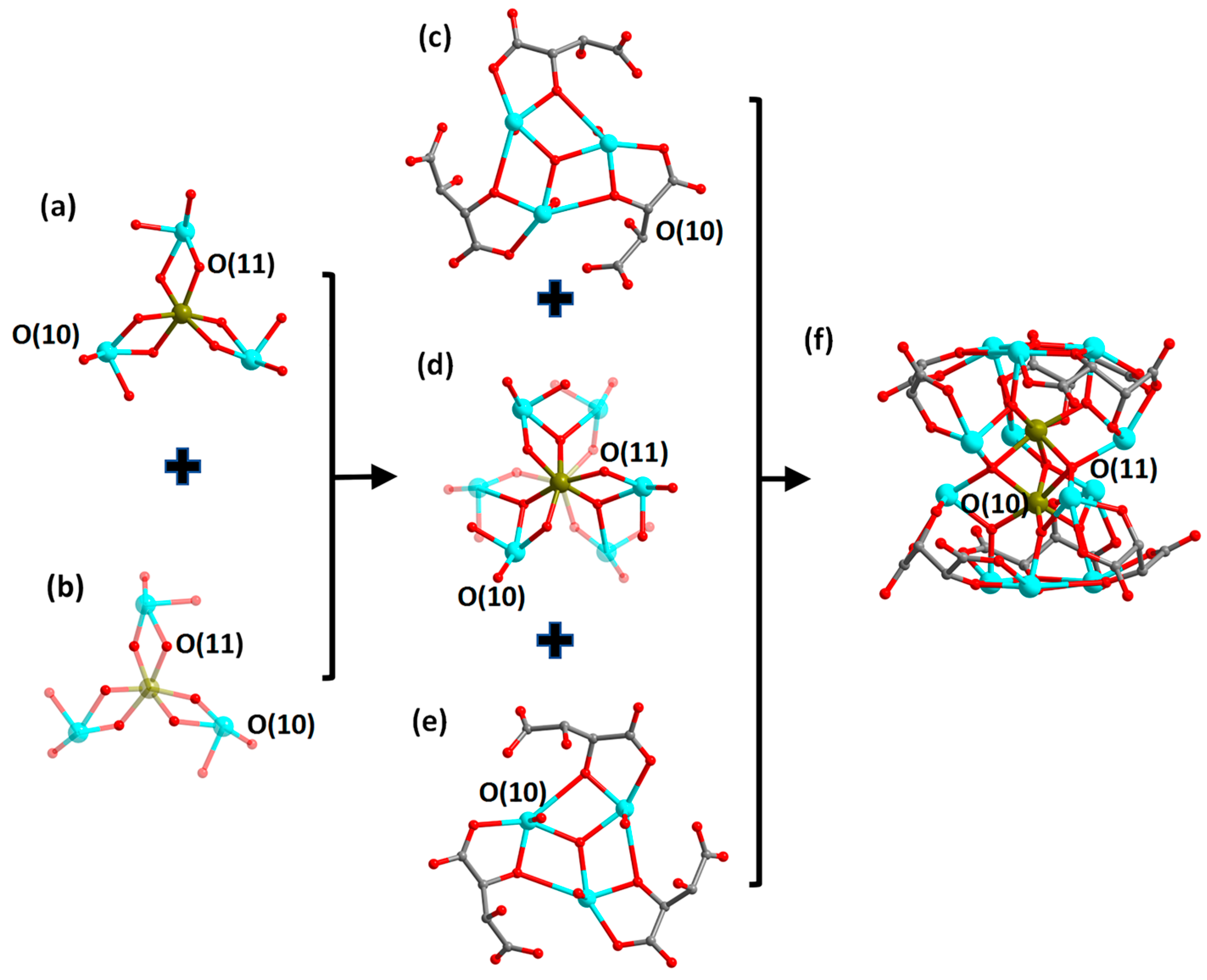 Molecules 29 00591 g002
