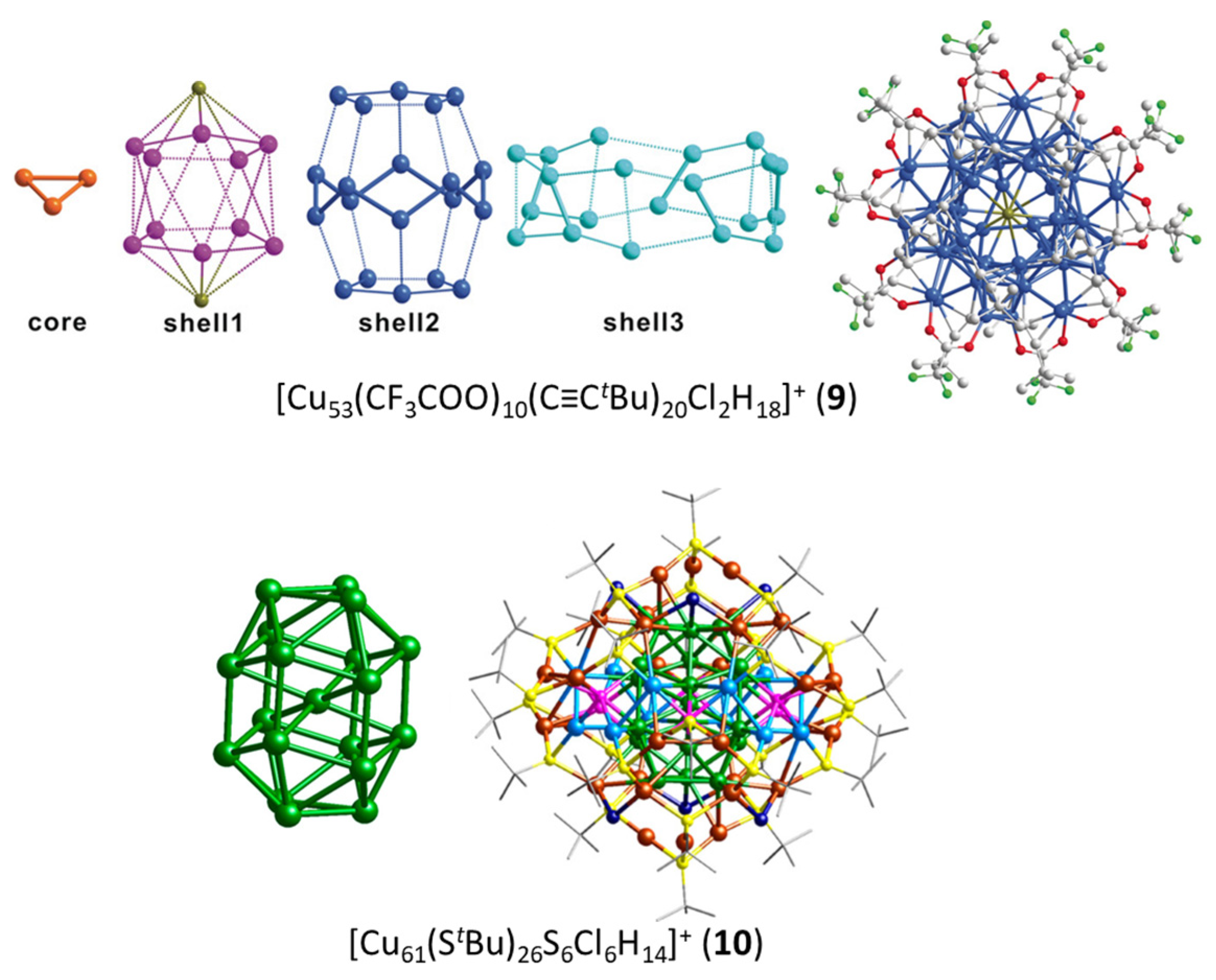 Molecules 29 00605 g003