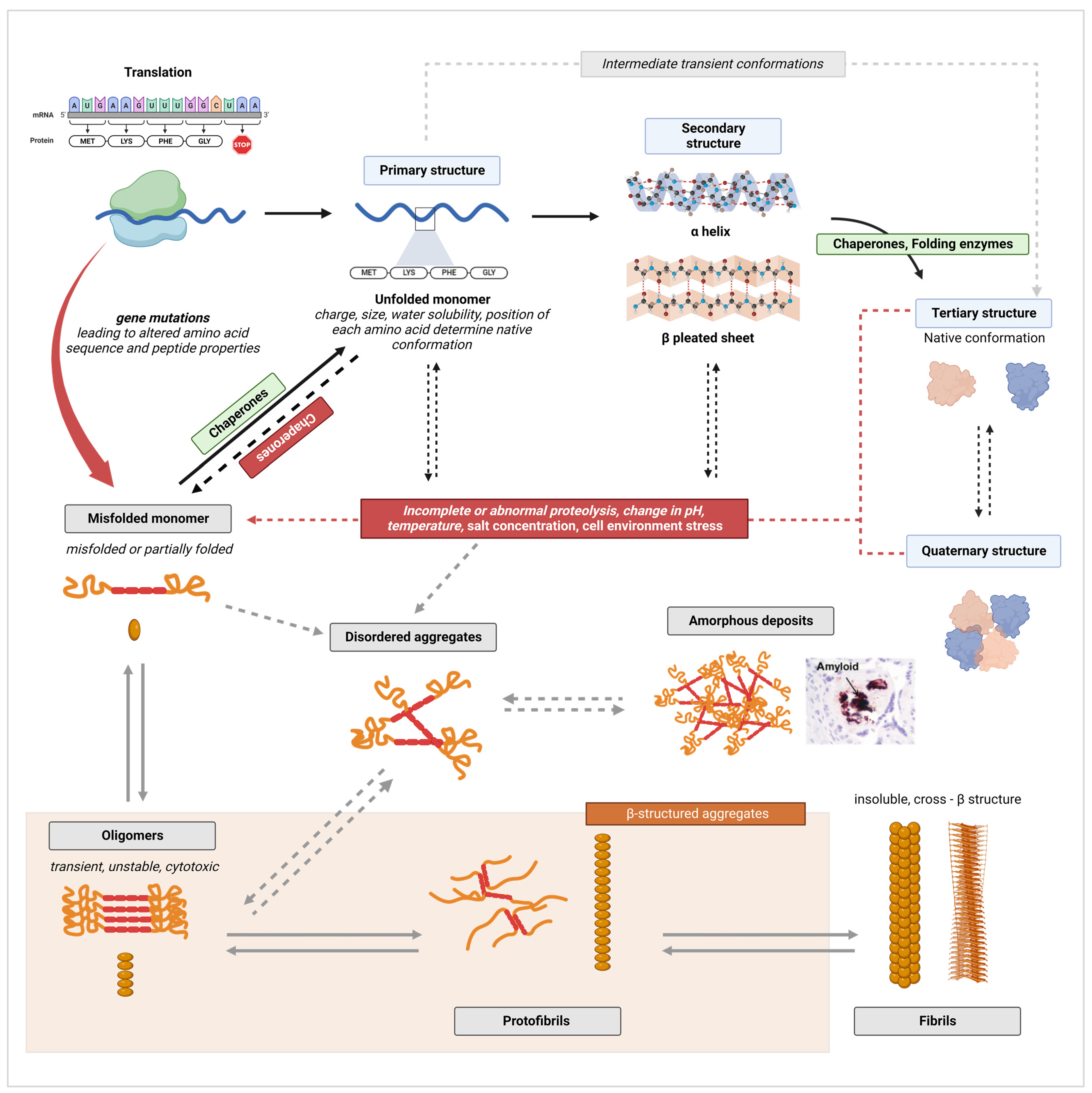 Molecules 29 00610 g002
