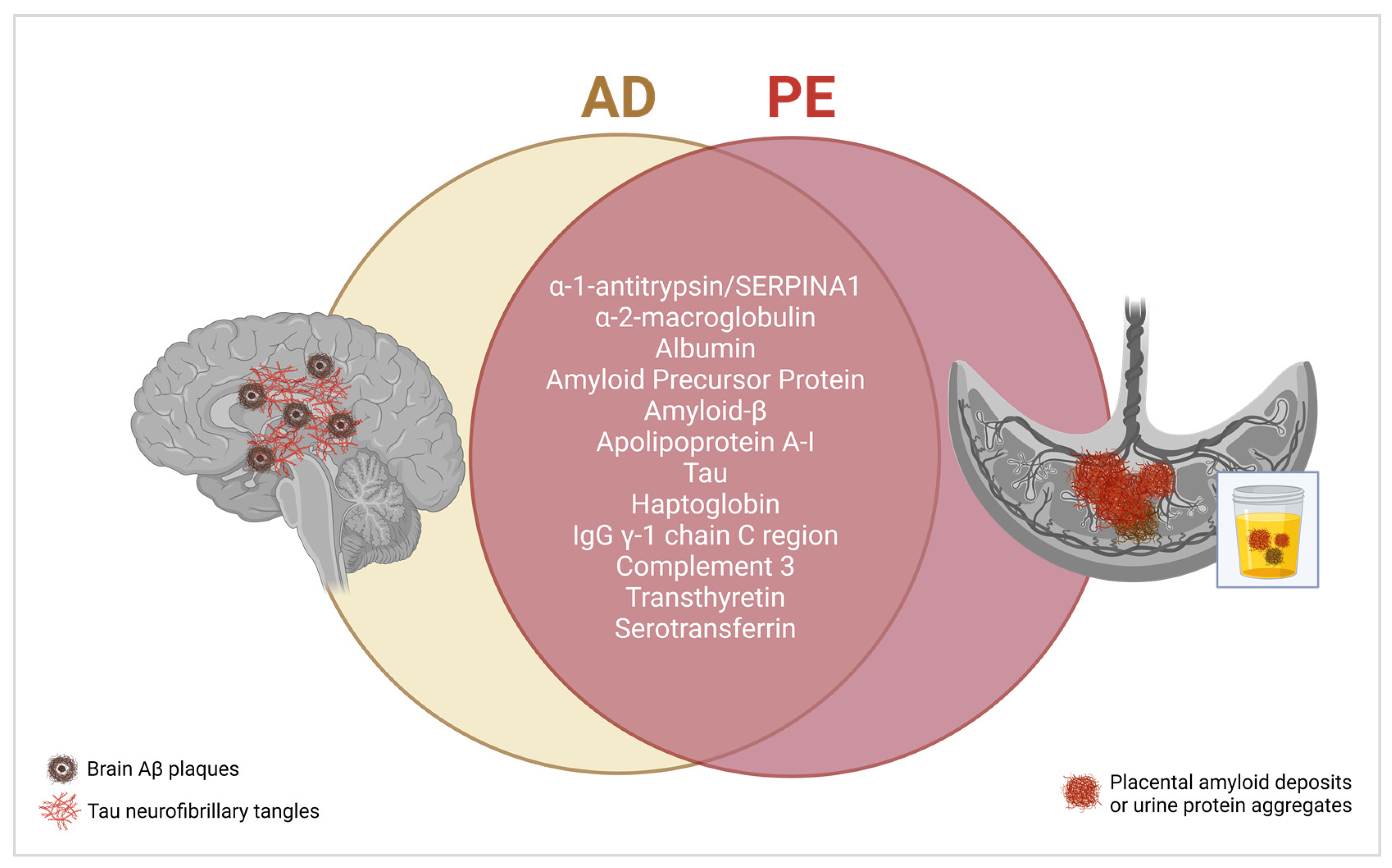Molecules 29 00610 g004