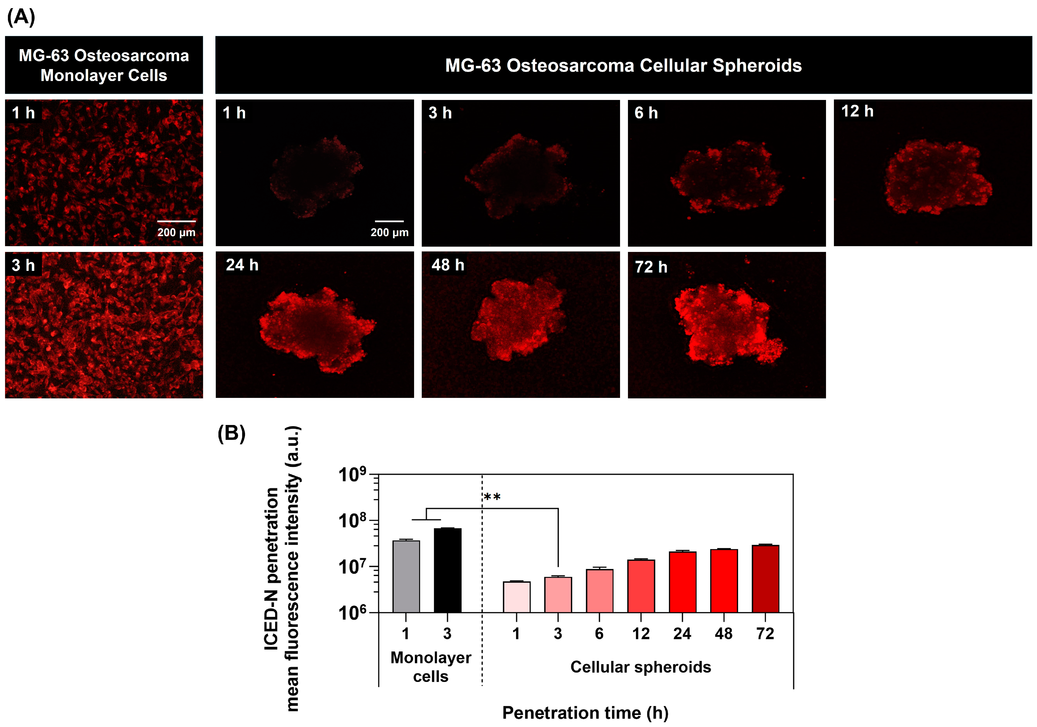 Molecules 29 00630 g008