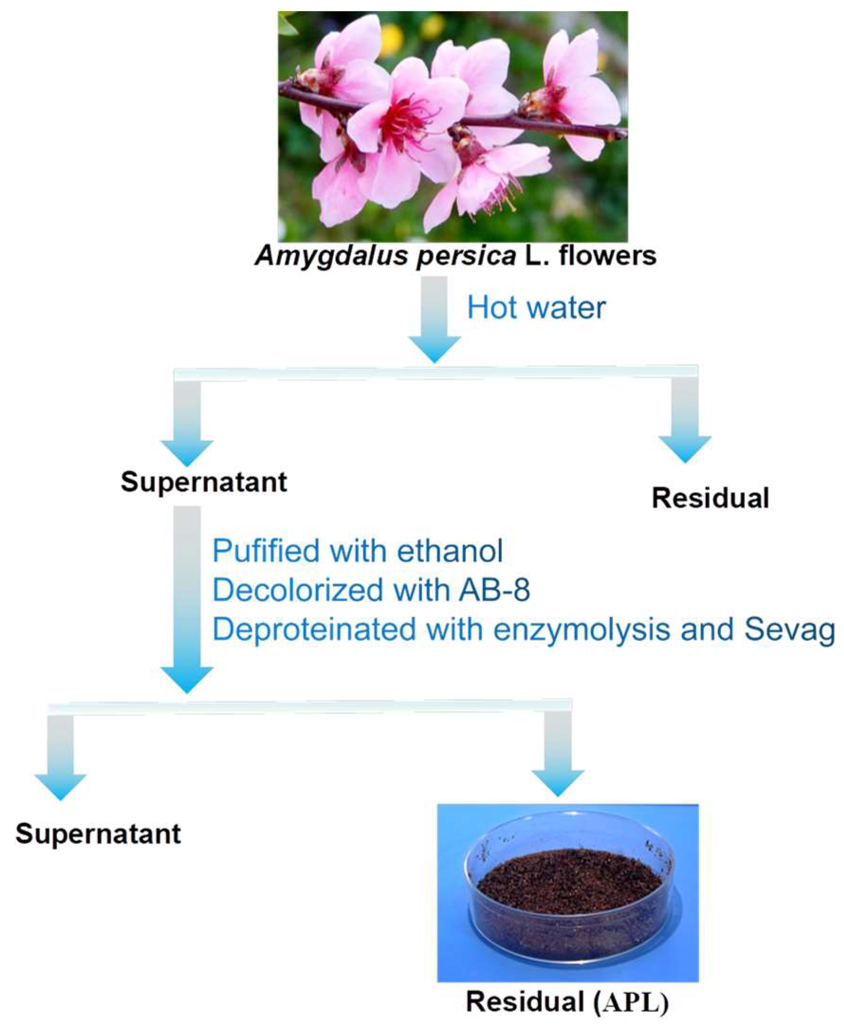 PDF) Effect of blanching pre-treatment on antioxidant activities and  involved compounds in fresh daylily ( Hemerocallis fulva L.) flowers