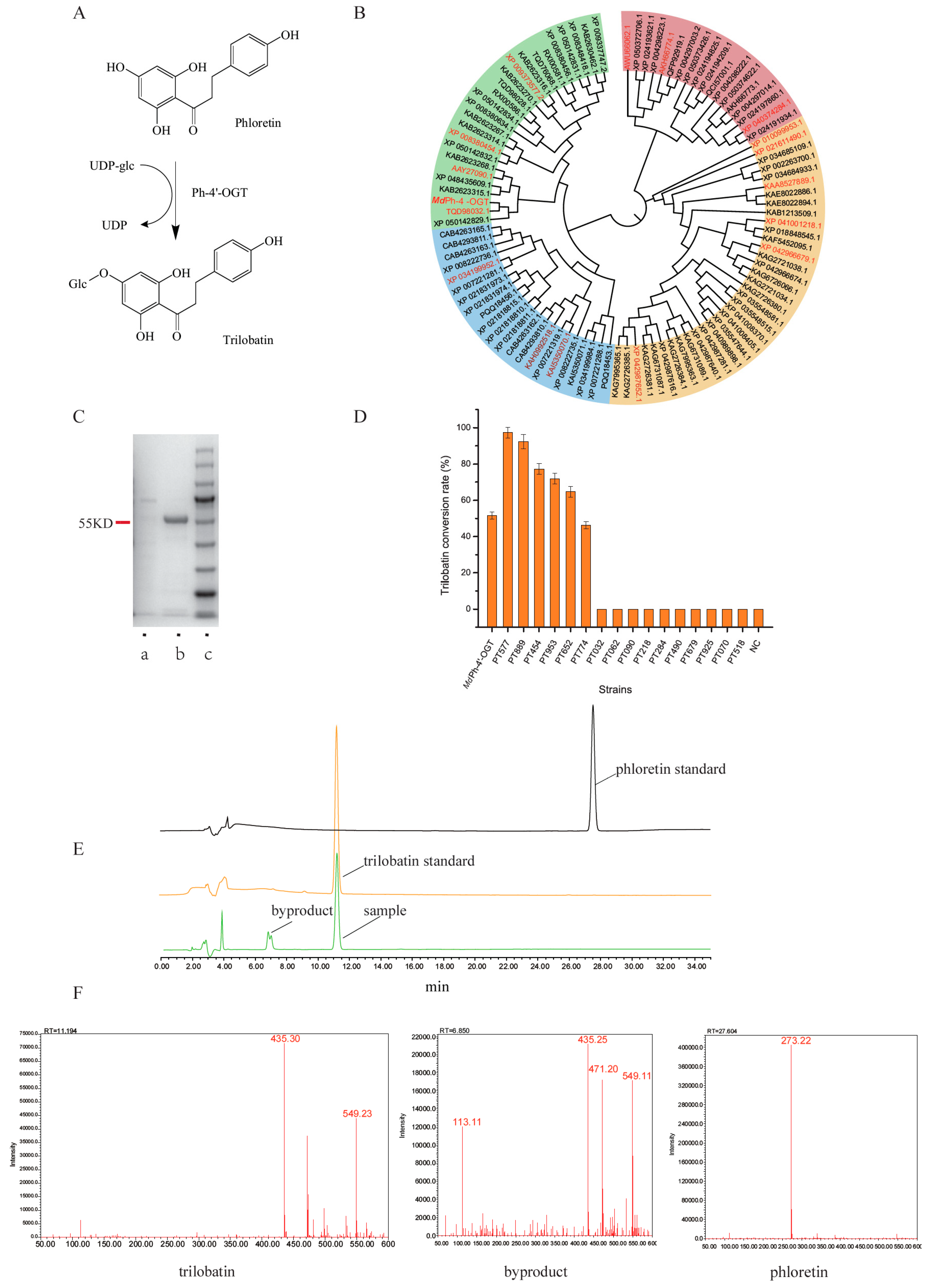 Molecules 29 00643 g001