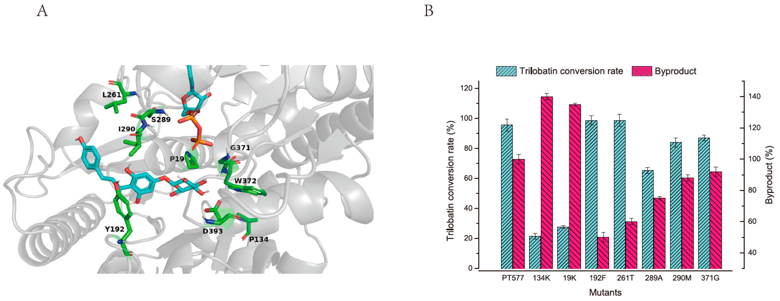 Molecules 29 00643 g003