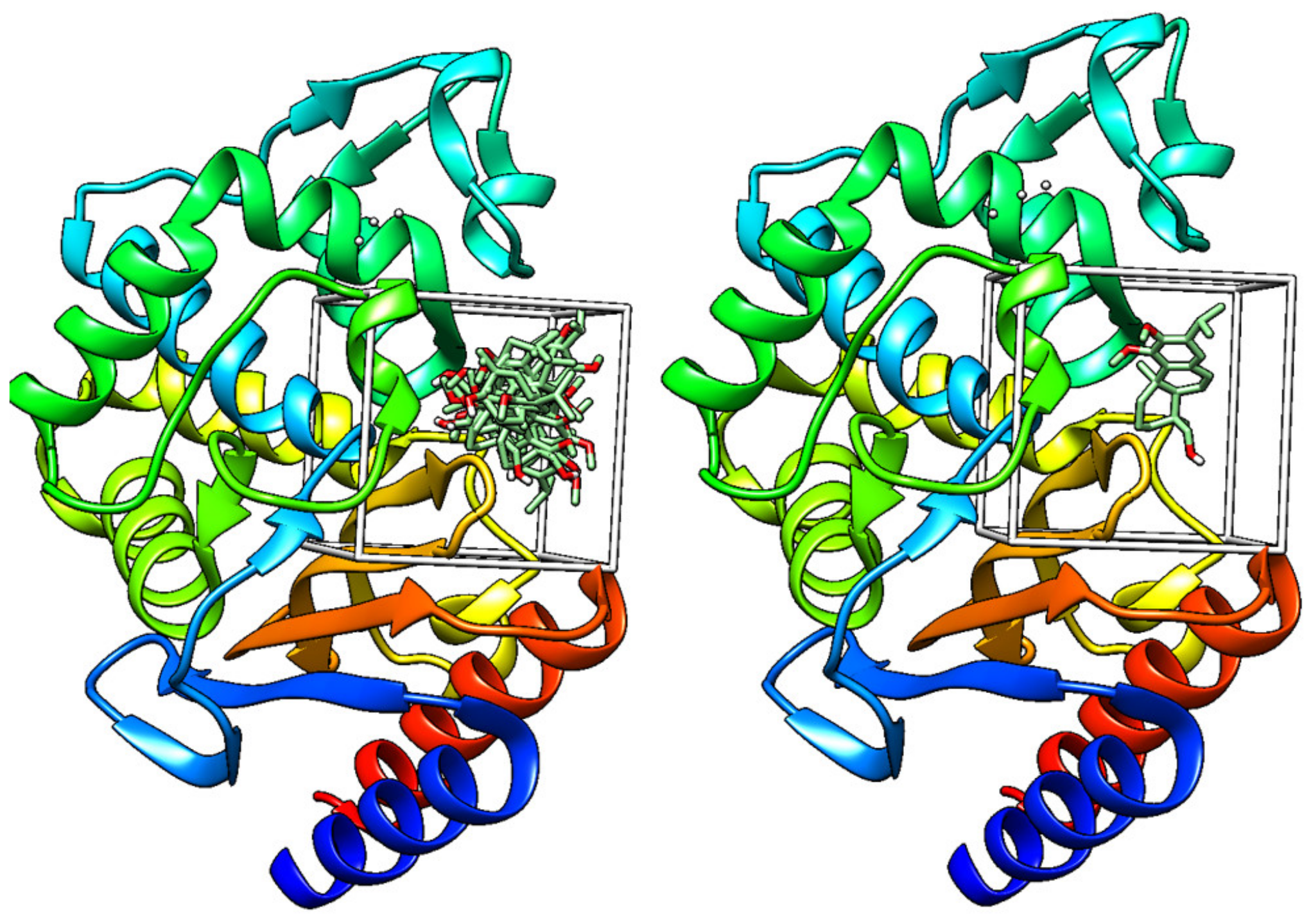 Molecules 29 00650 g003