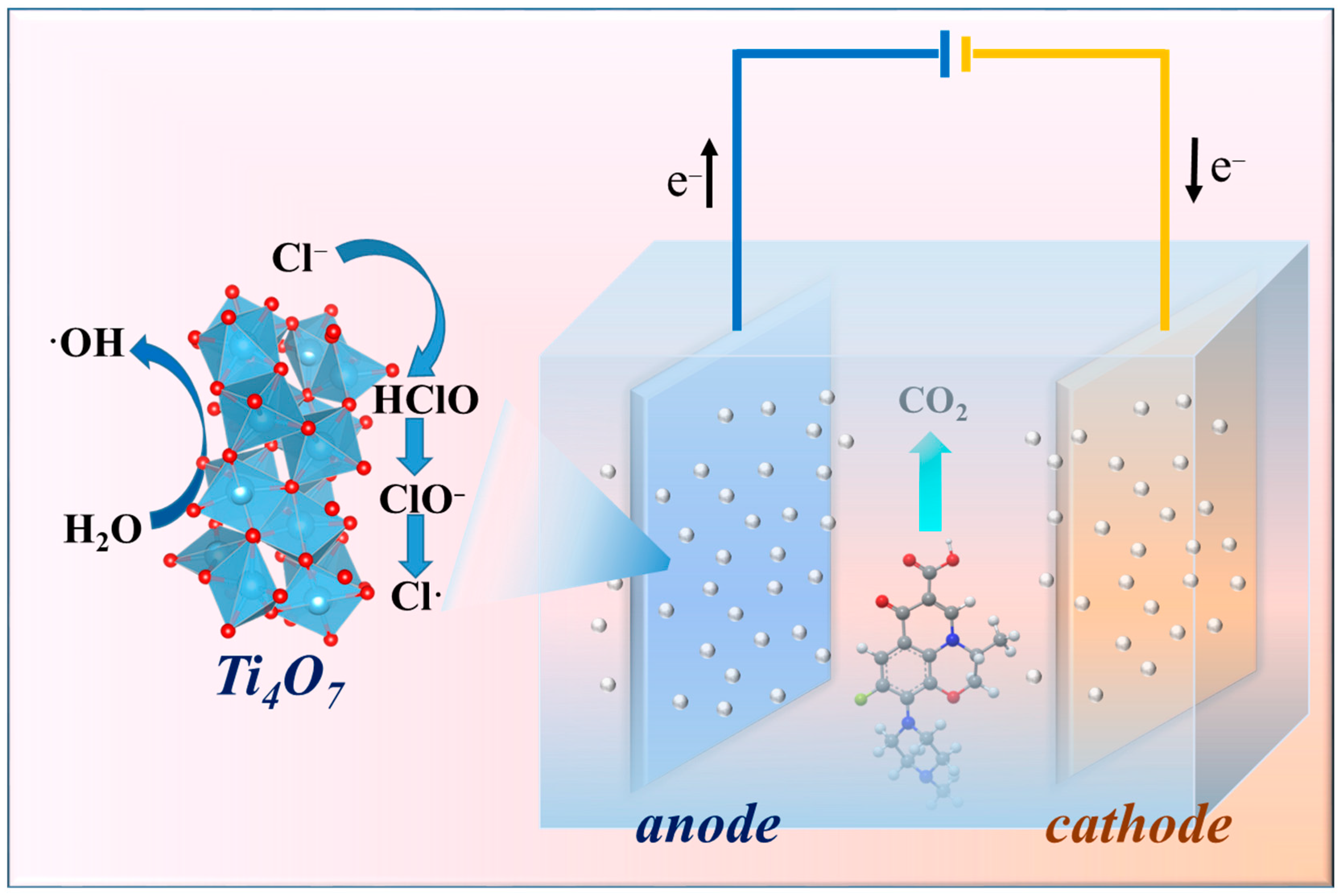 Molecules 29 00662 g007