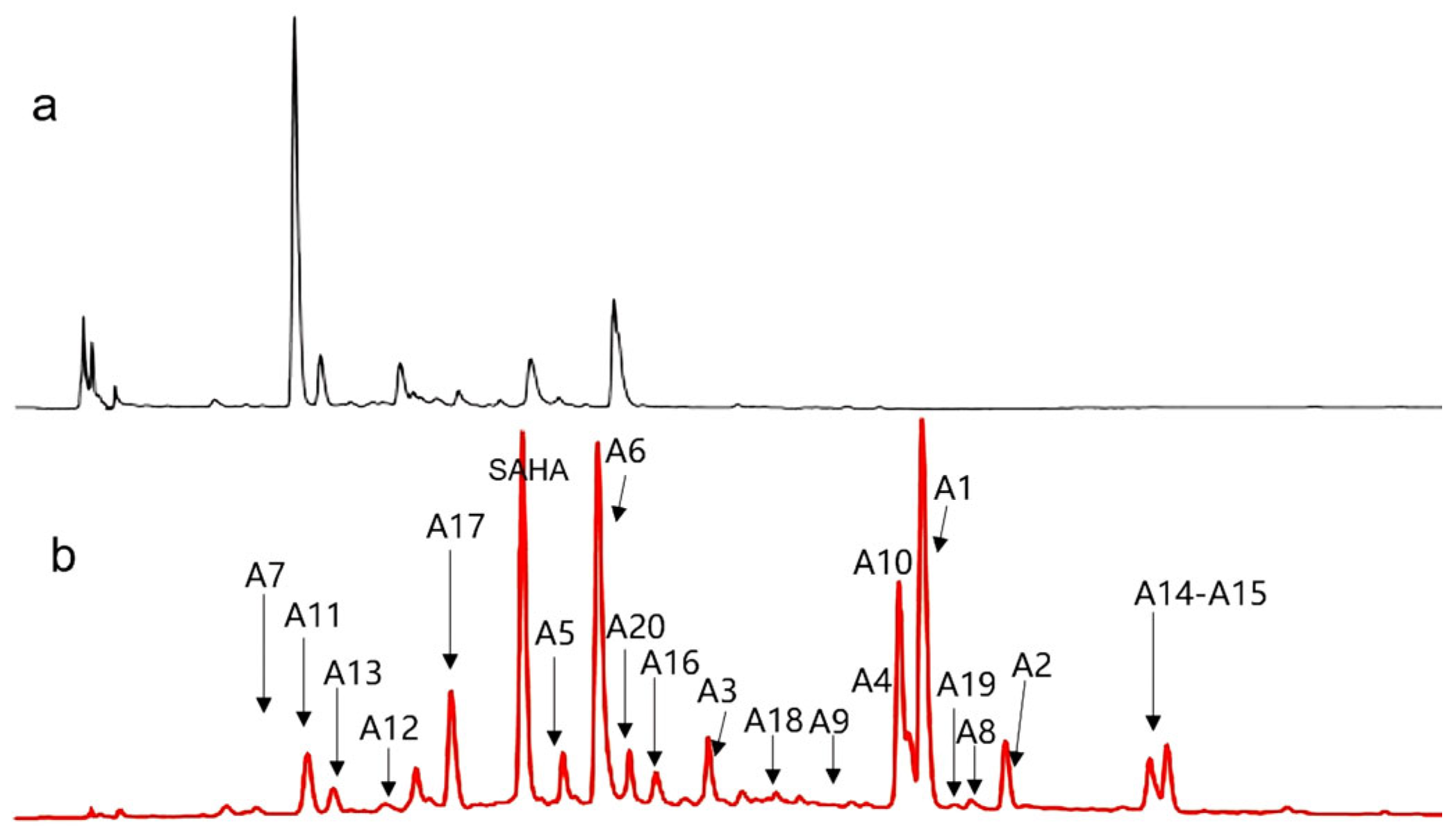 Molecules 29 00670 g002