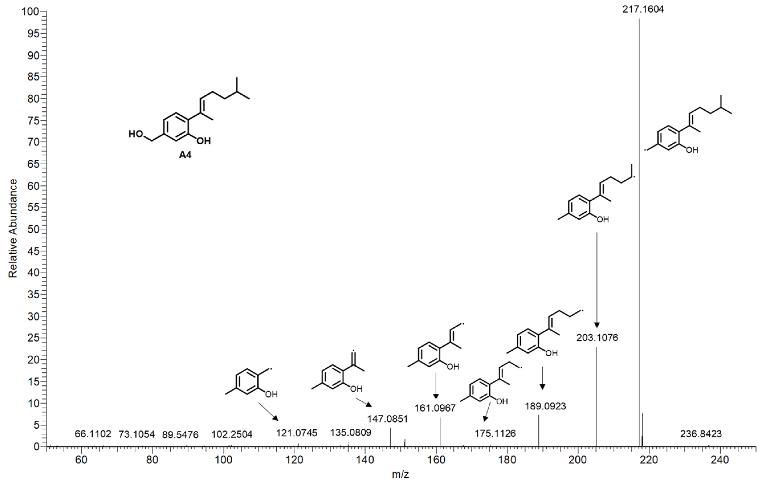 Molecules 29 00670 g004