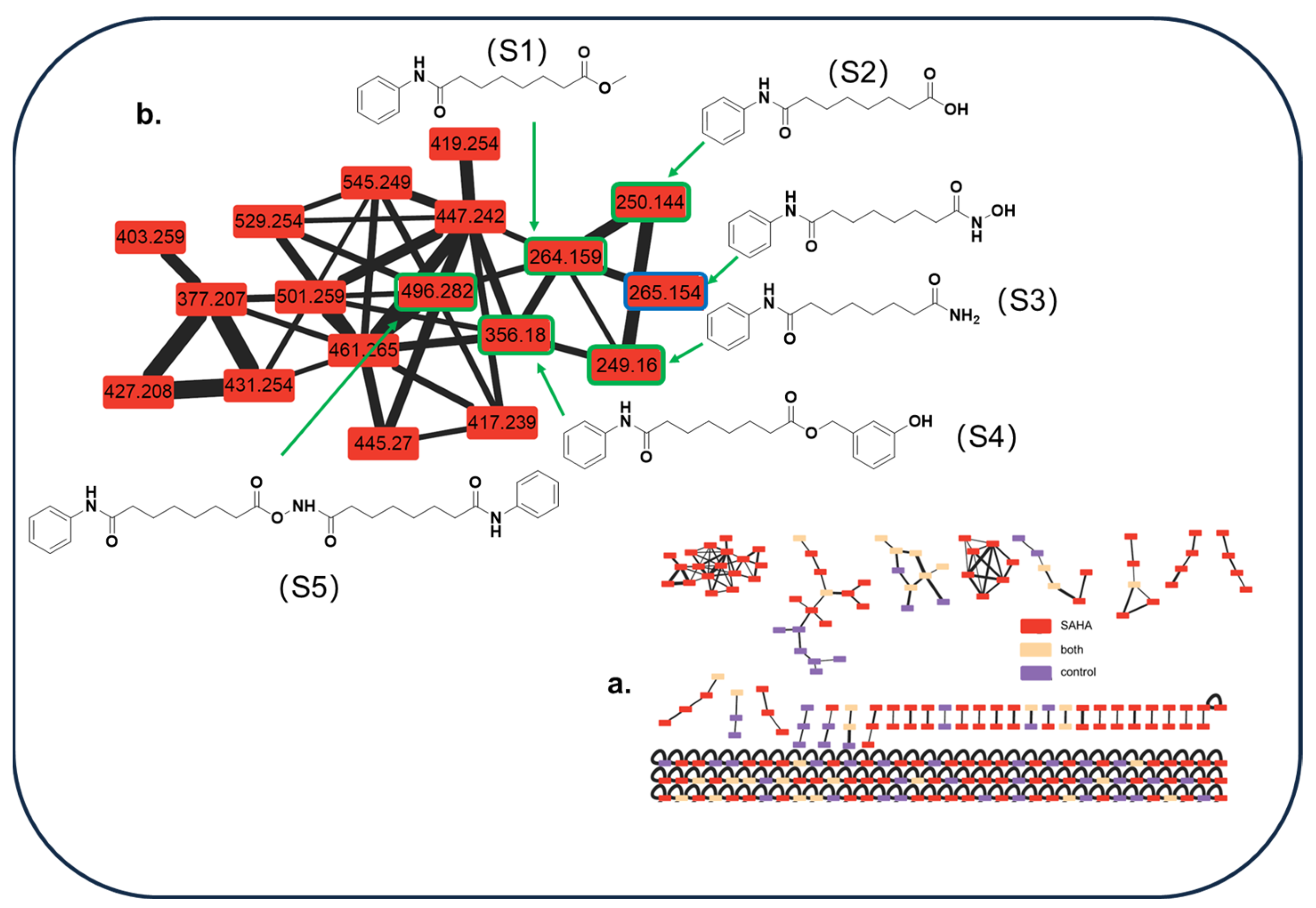 Molecules 29 00670 g009