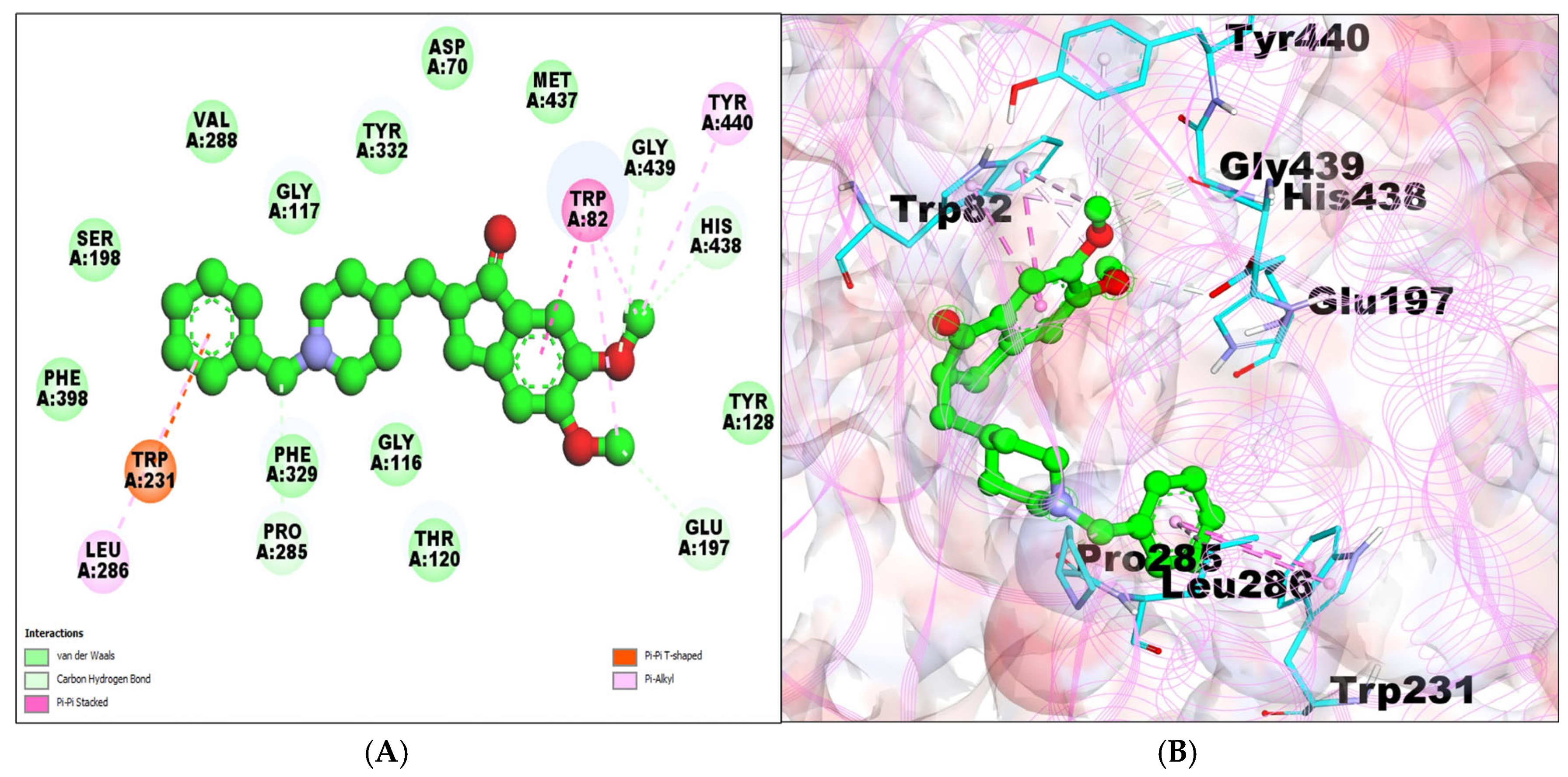 Molecules 29 00674 g003