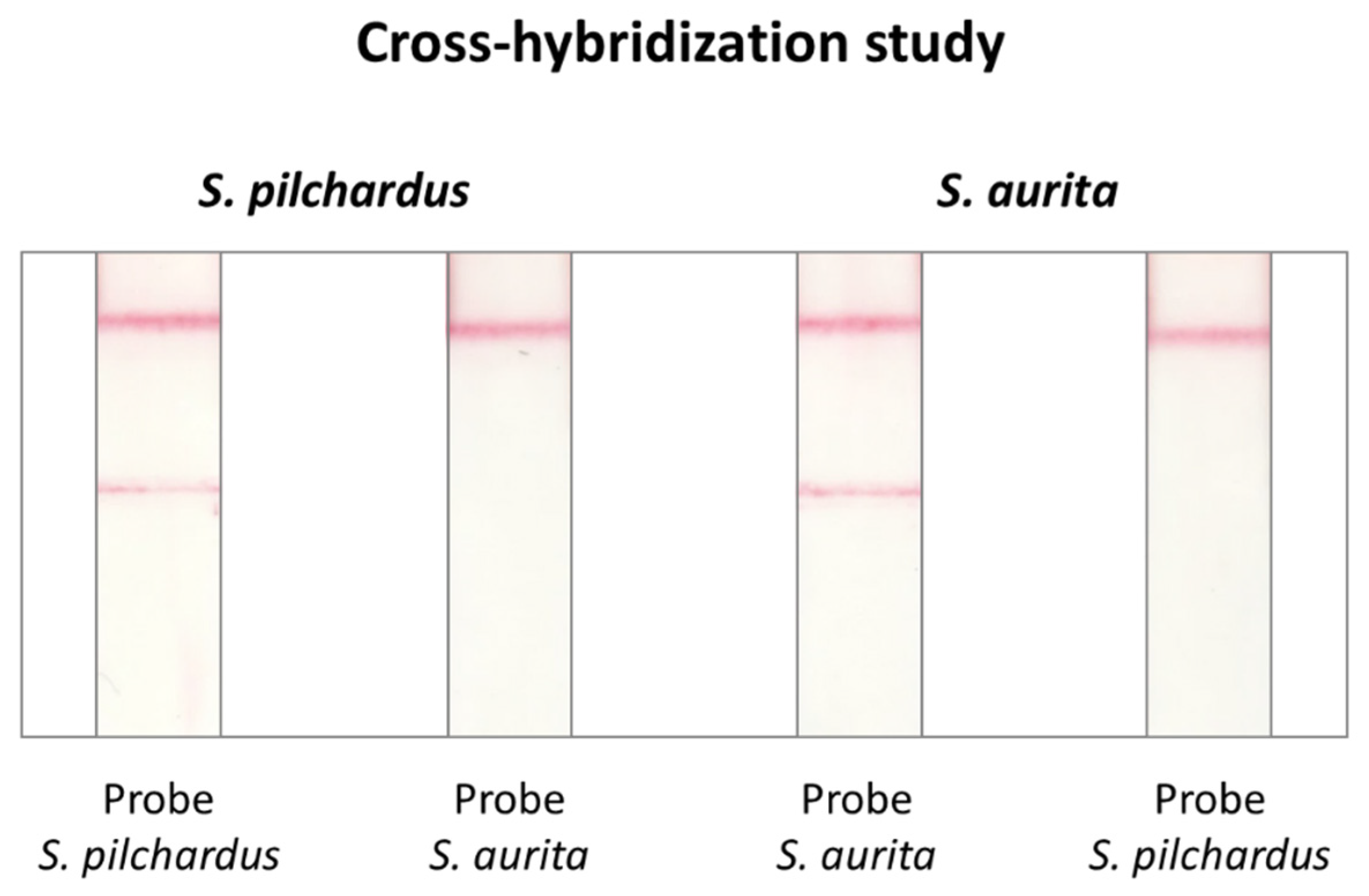 Molecules 29 00677 g004