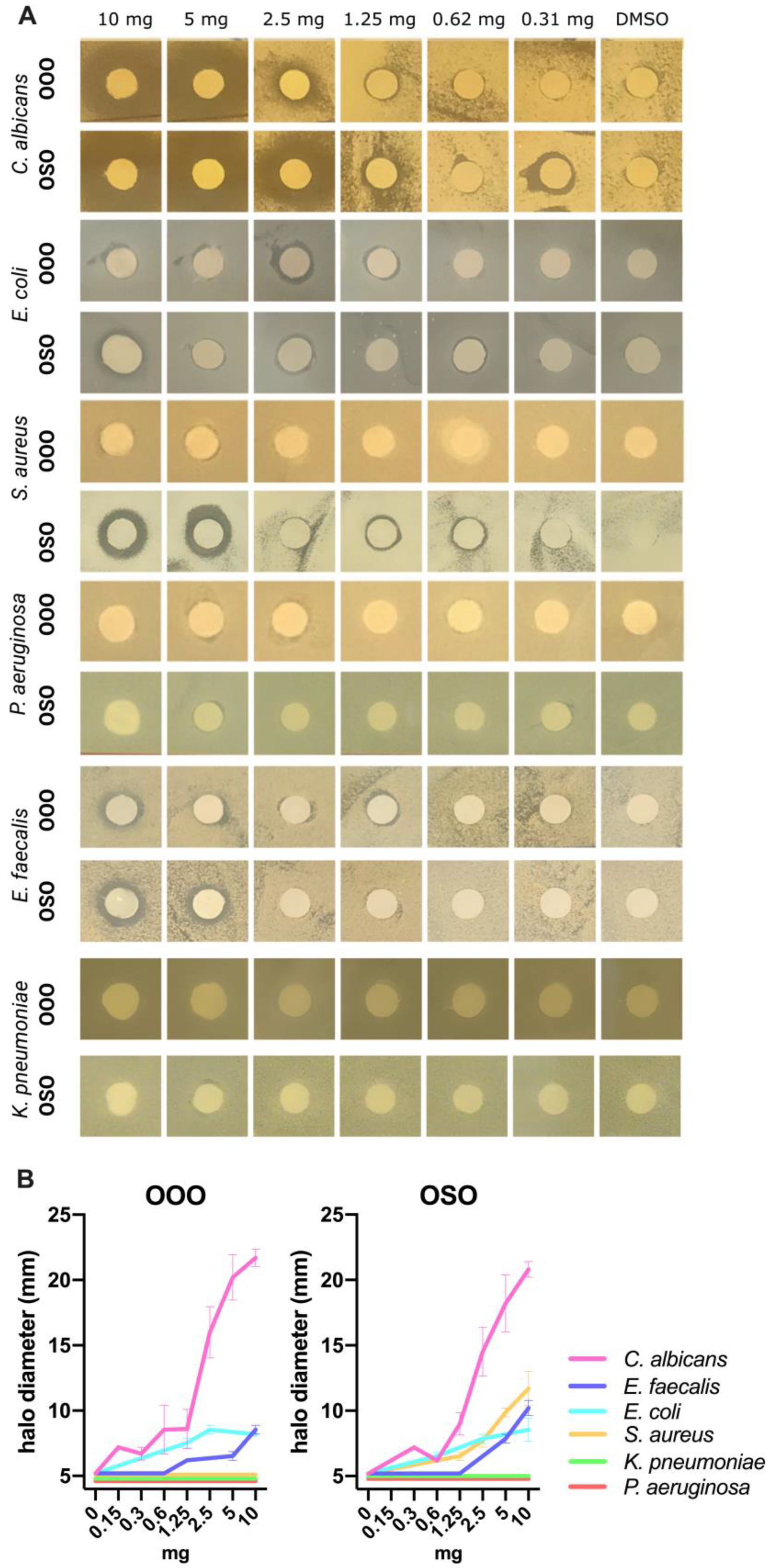 Molecules 29 00679 g006 Molecules 29 00679 g006