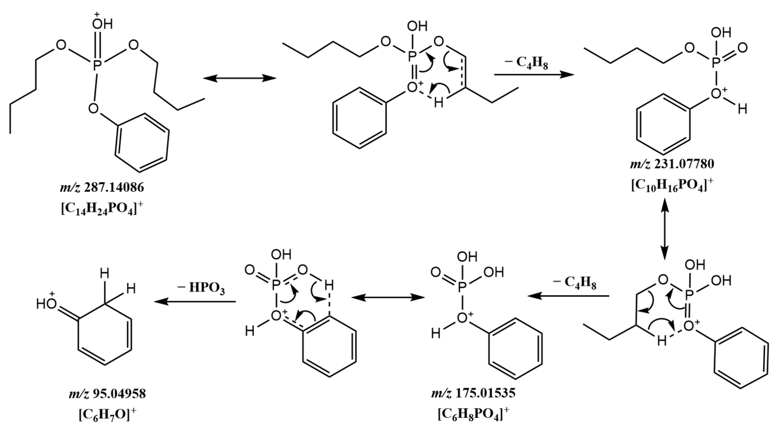 Molecules 29 00680 g005