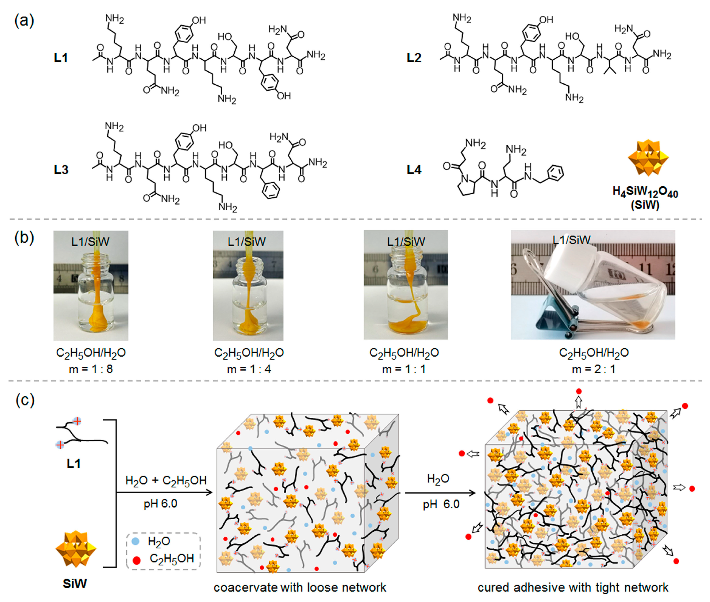Molecules 29 00681 g001
