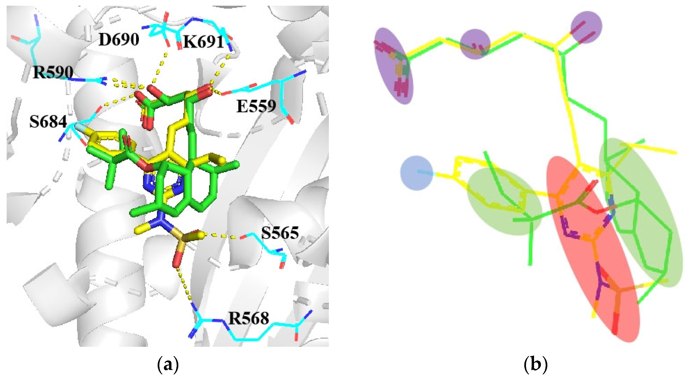 Molecules 29 00689 g008 Molecules 29 00689 g008