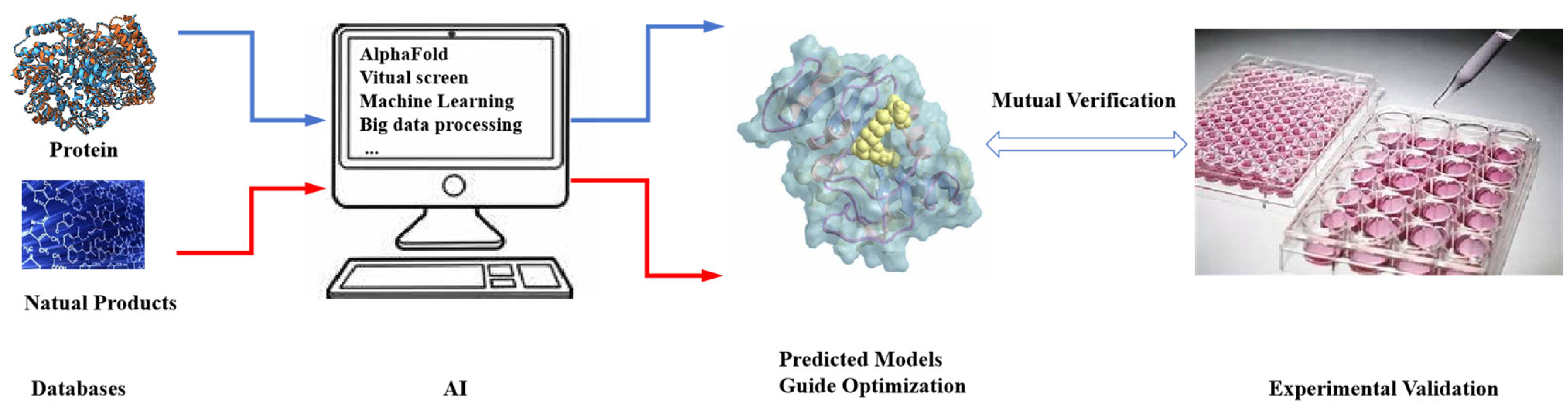 Molecules 29 00689 g014 Molecules 29 00689 g014