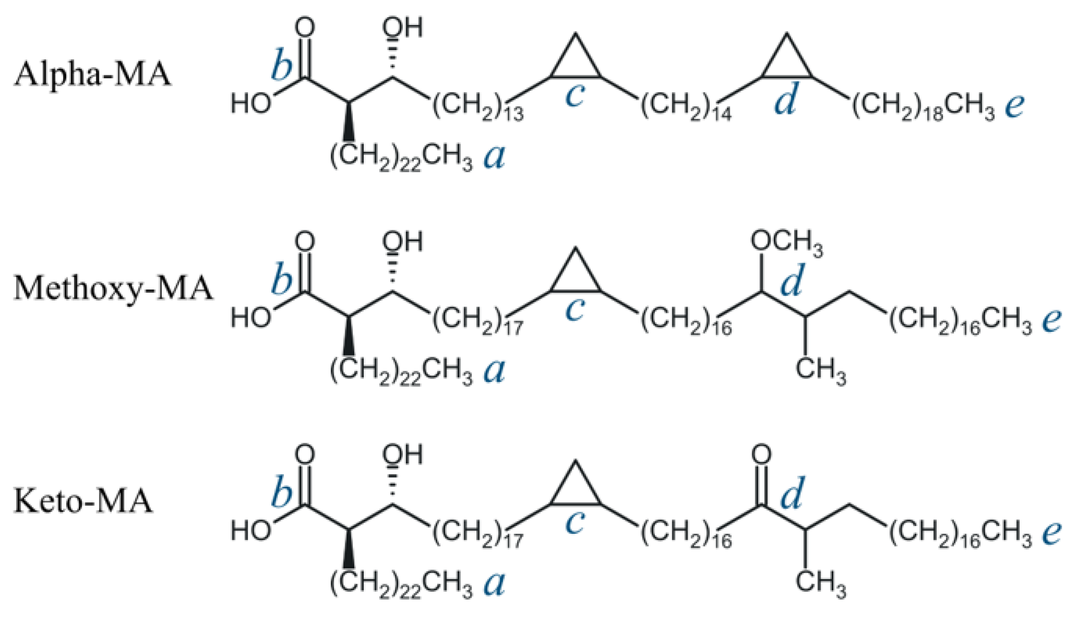 Molecules 29 00696 g001