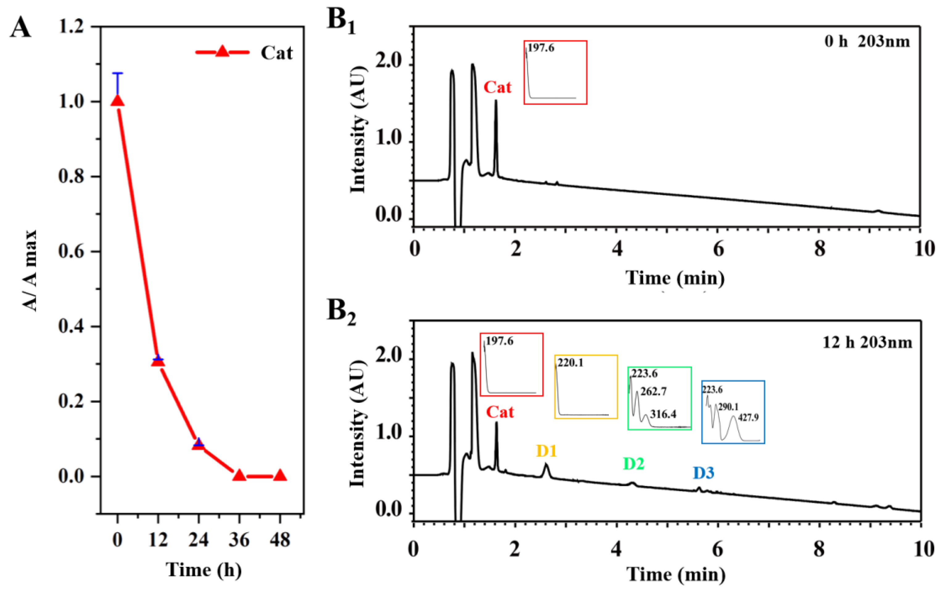 Molecules 29 00705 g002