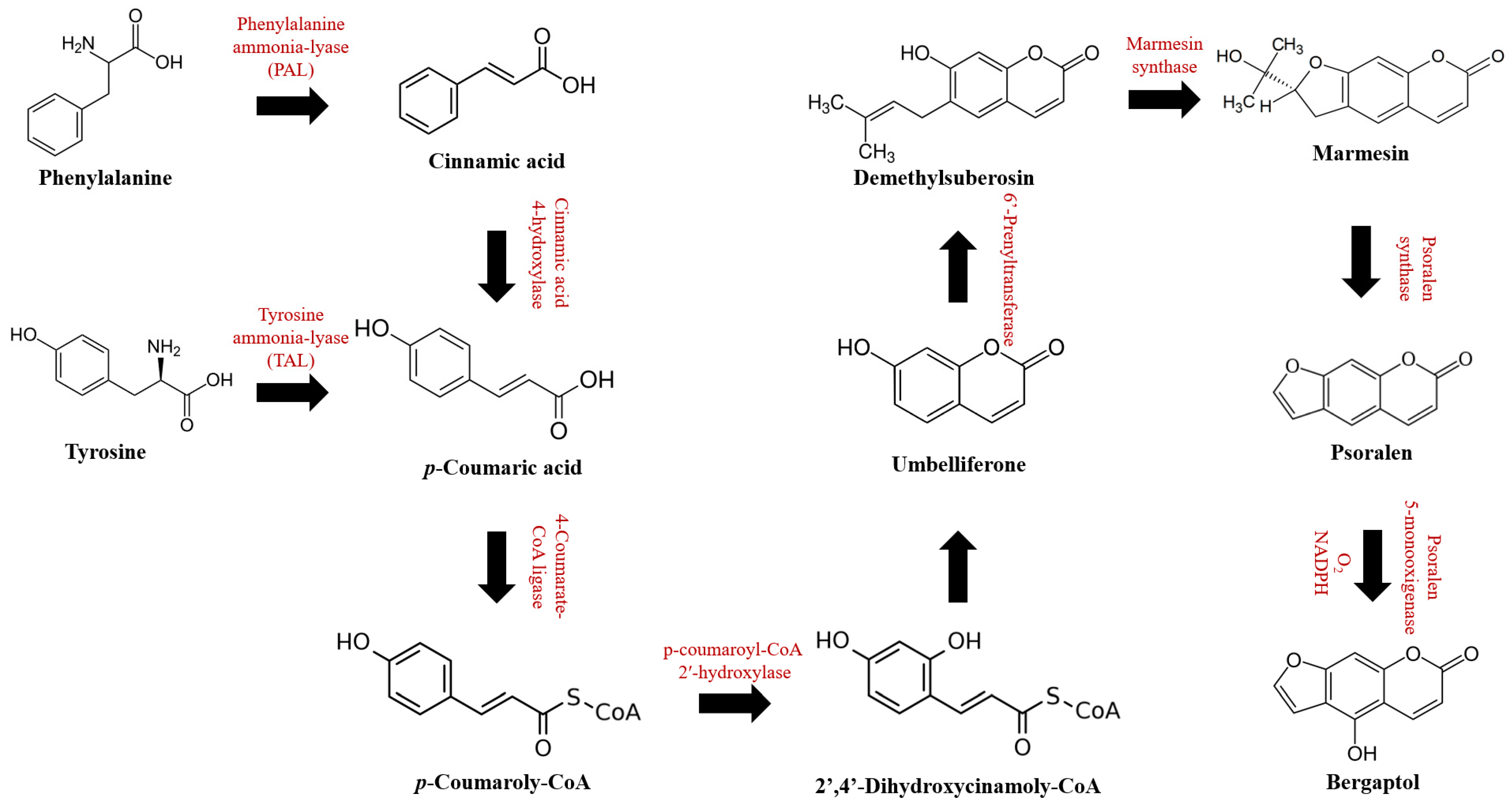 Molecules 29 00713 g002 Molecules 29 00713 g002