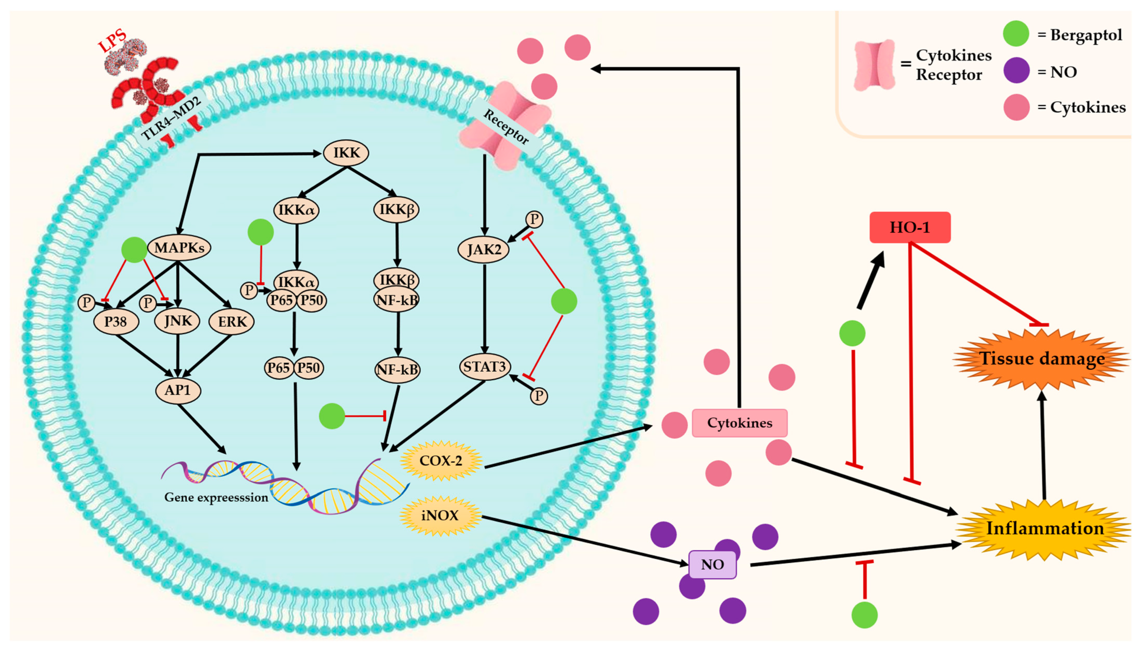 Molecules 29 00713 g003 Molecules 29 00713 g003