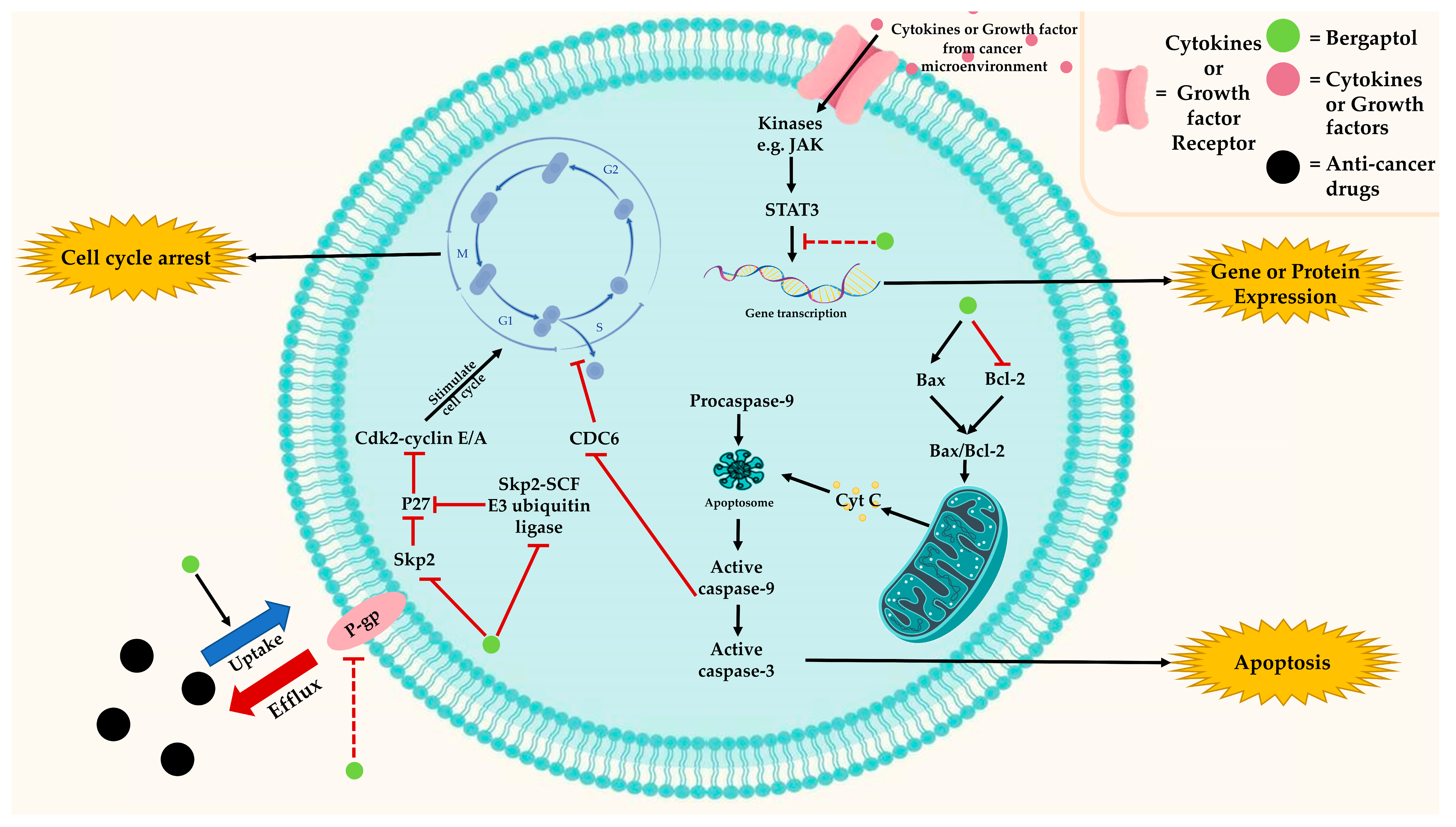 Molecules 29 00713 g004 Molecules 29 00713 g004