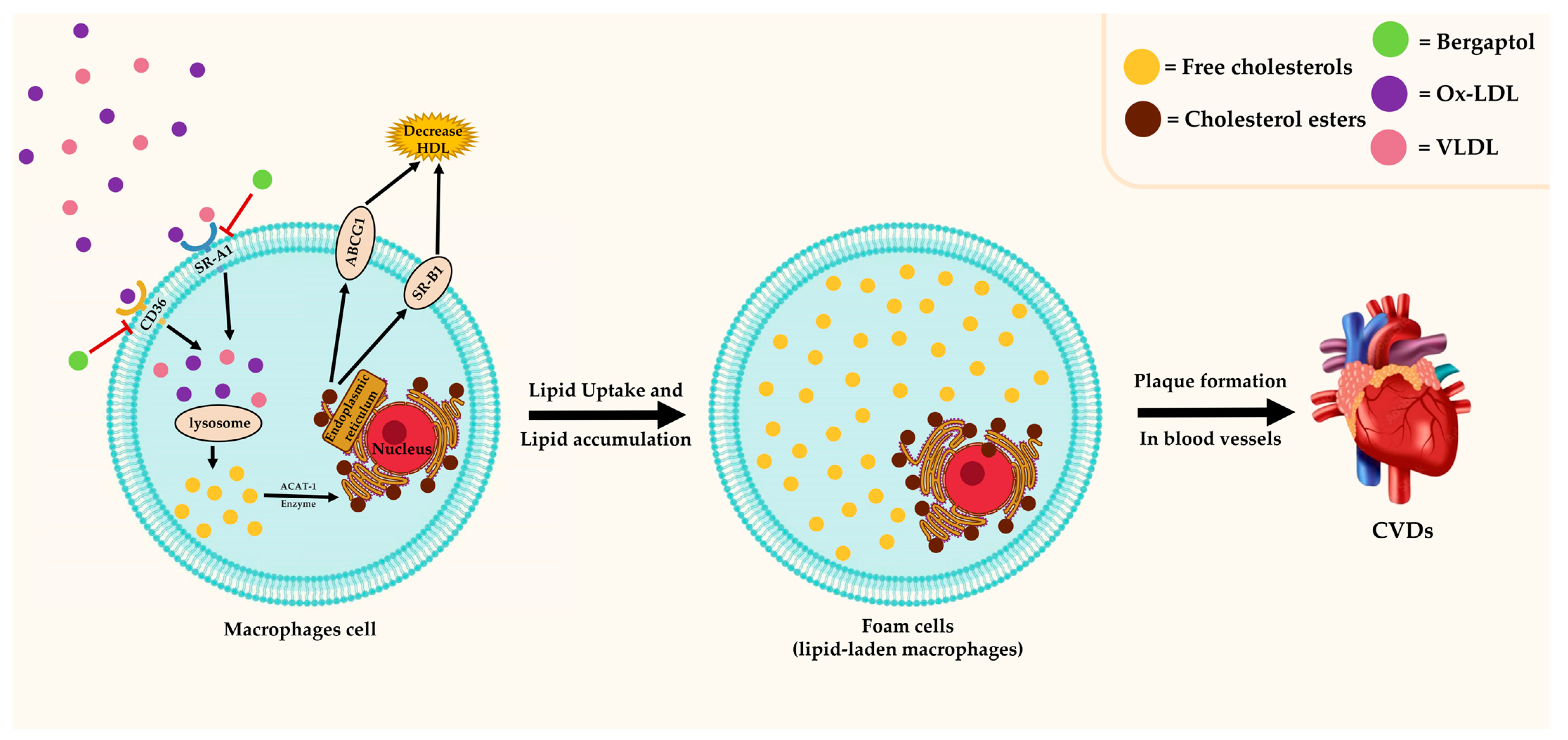 Molecules 29 00713 g005 Molecules 29 00713 g005