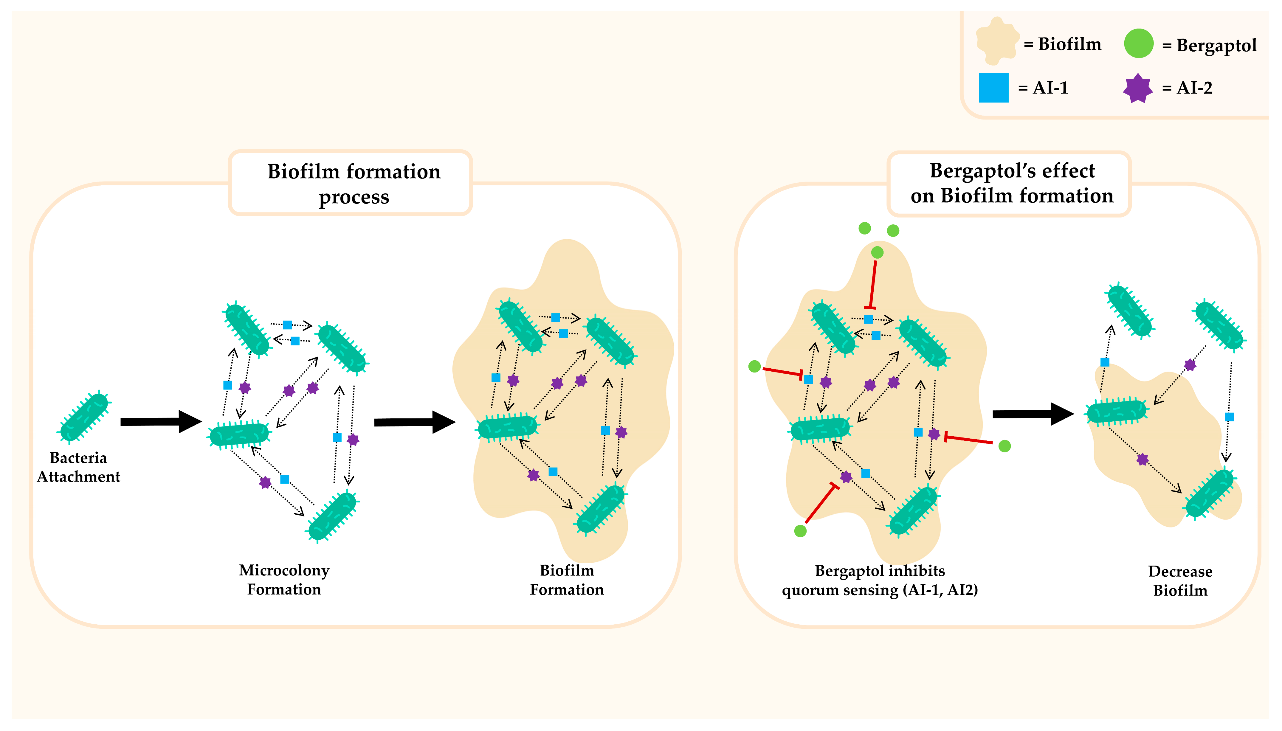Molecules 29 00713 g006 Molecules 29 00713 g006