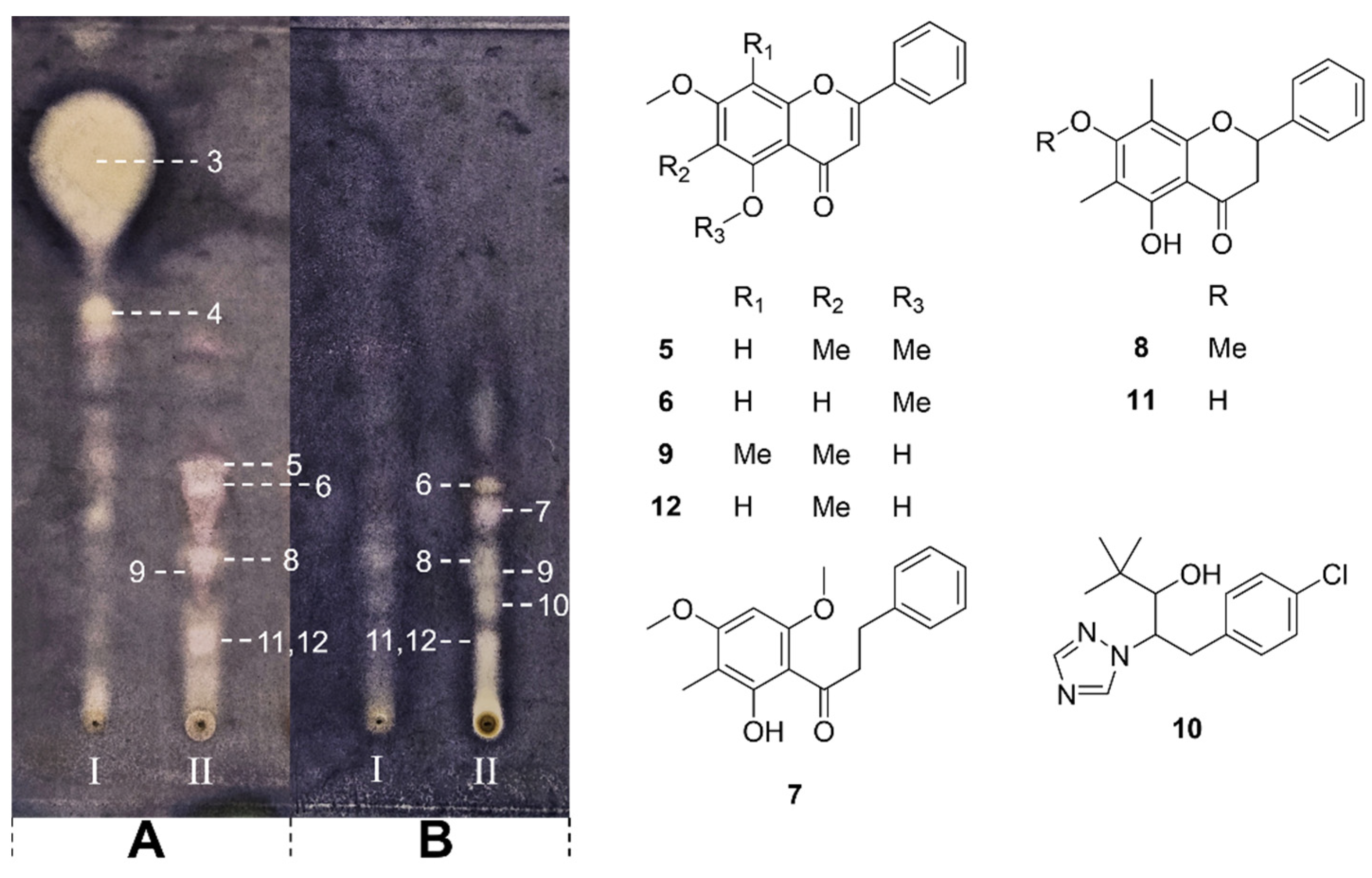 Molecules 29 00717 g003