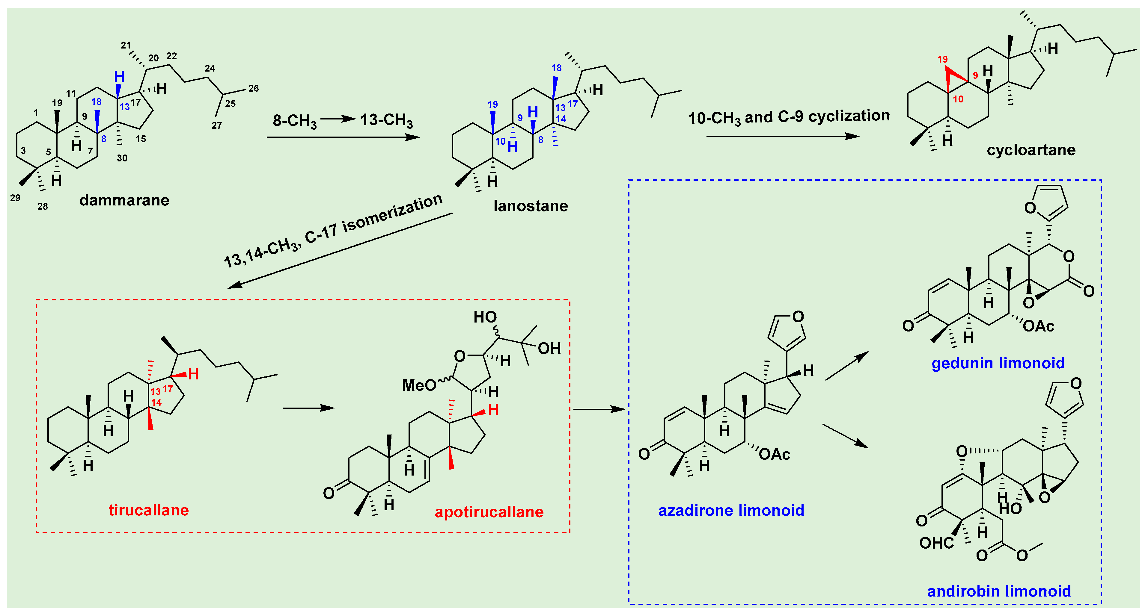 Molecules 29 00718 g002