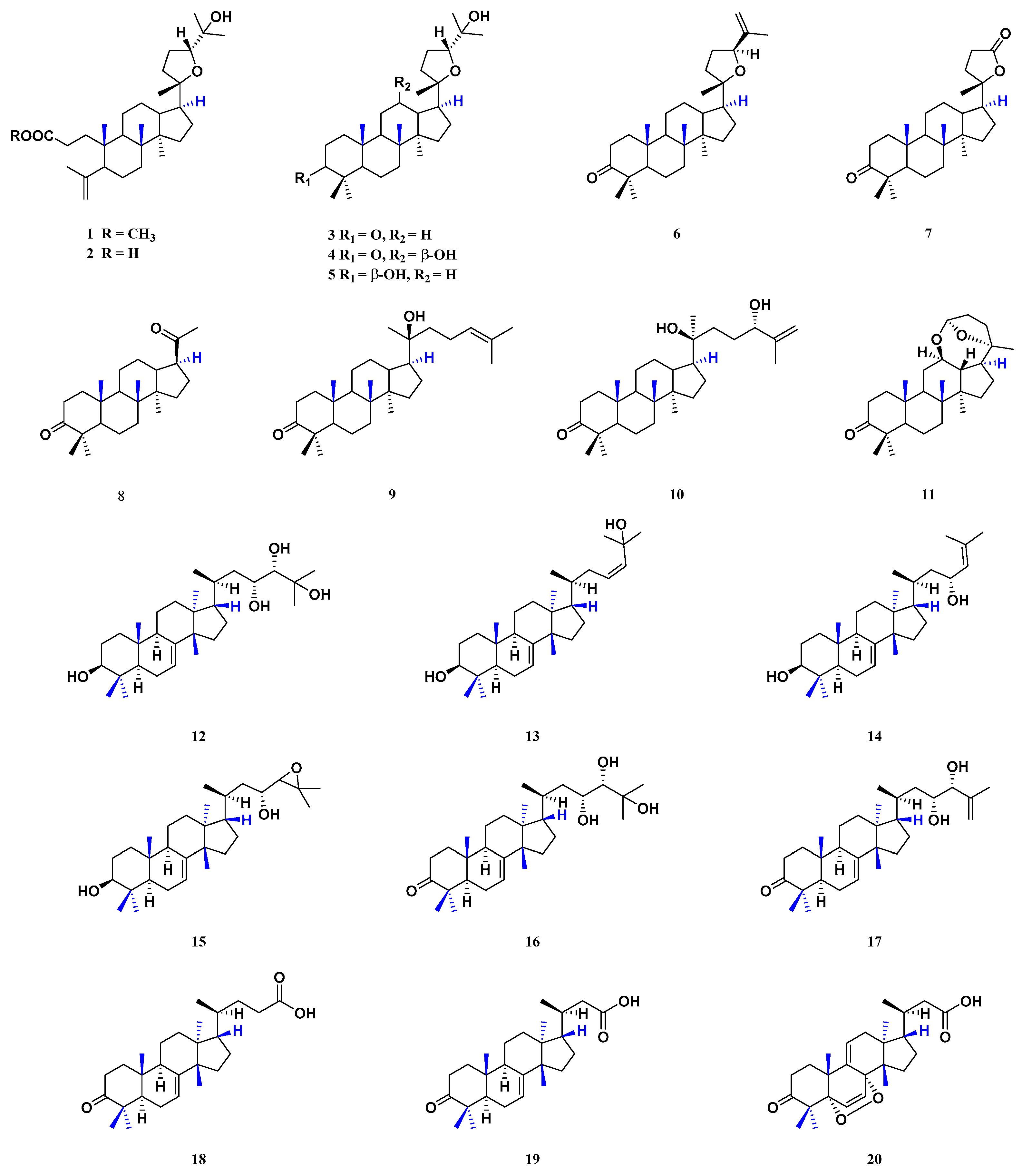 Molecules 29 00718 g003
