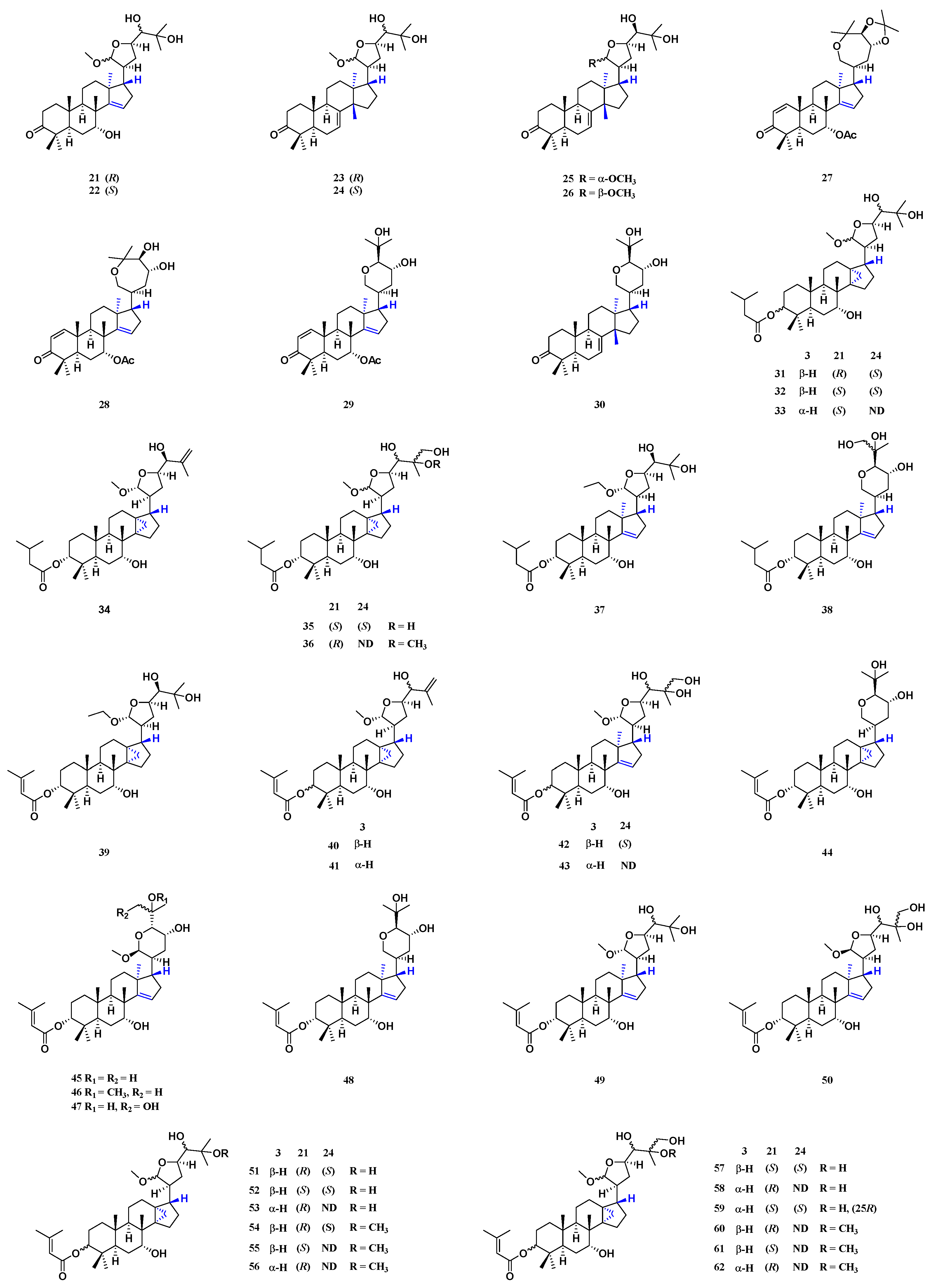 Molecules 29 00718 g004