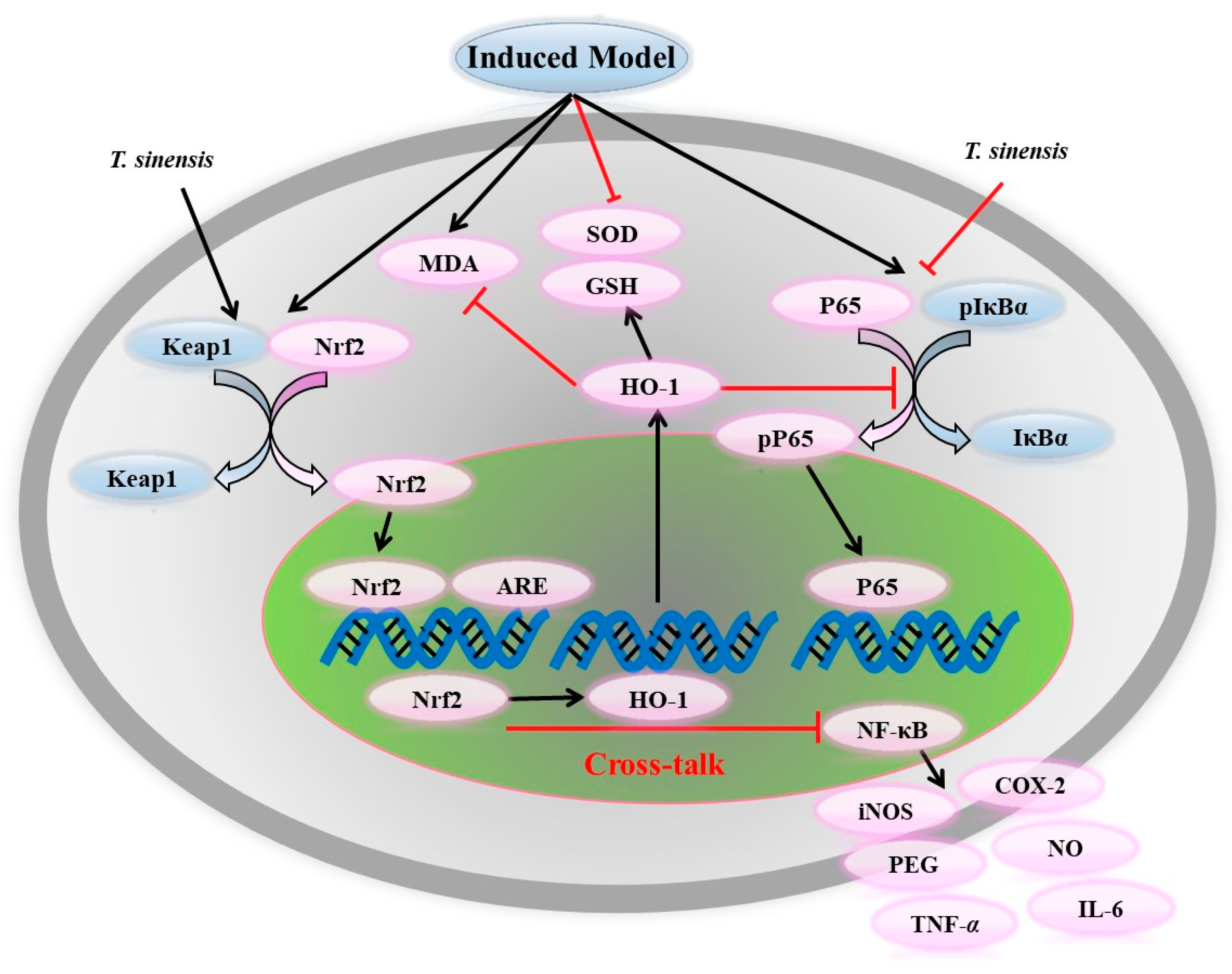 Molecules 29 00718 g010