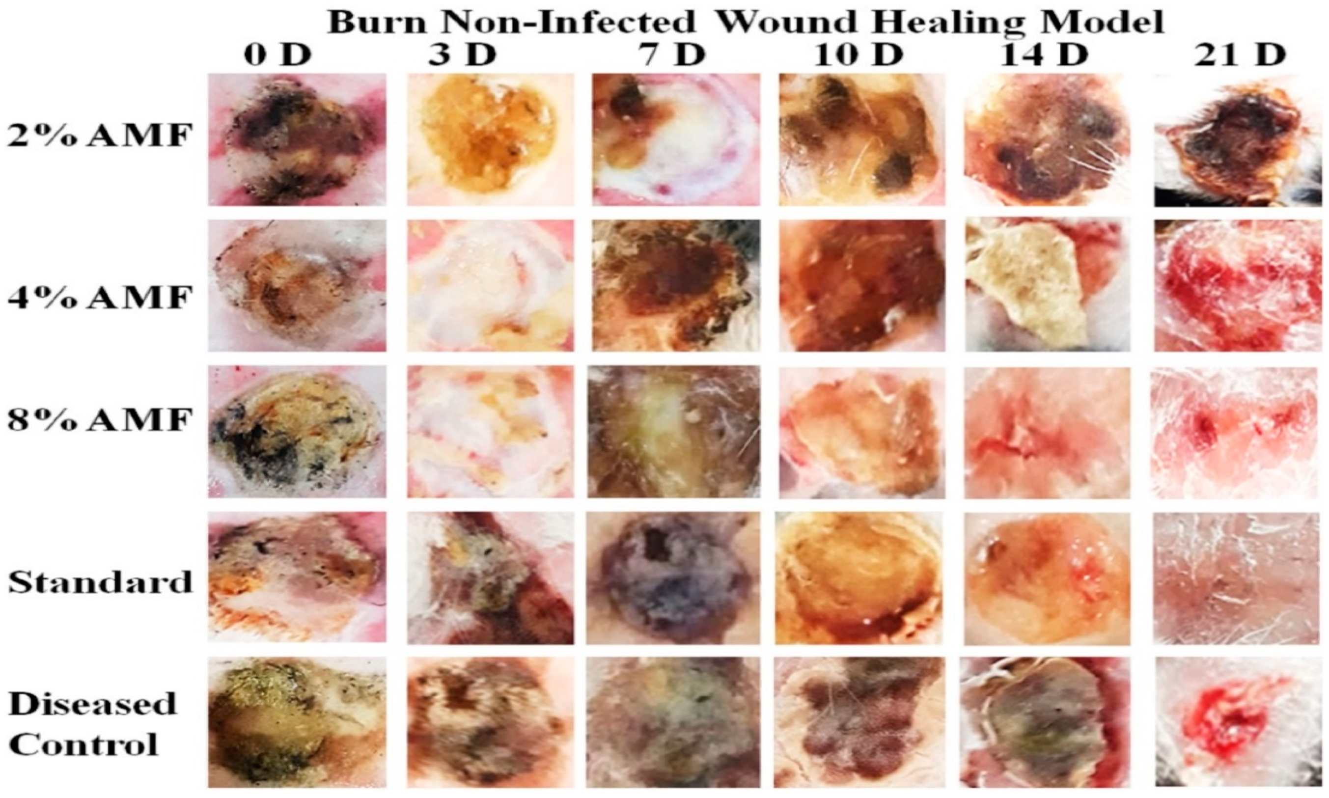 Molecules 29 00729 g004