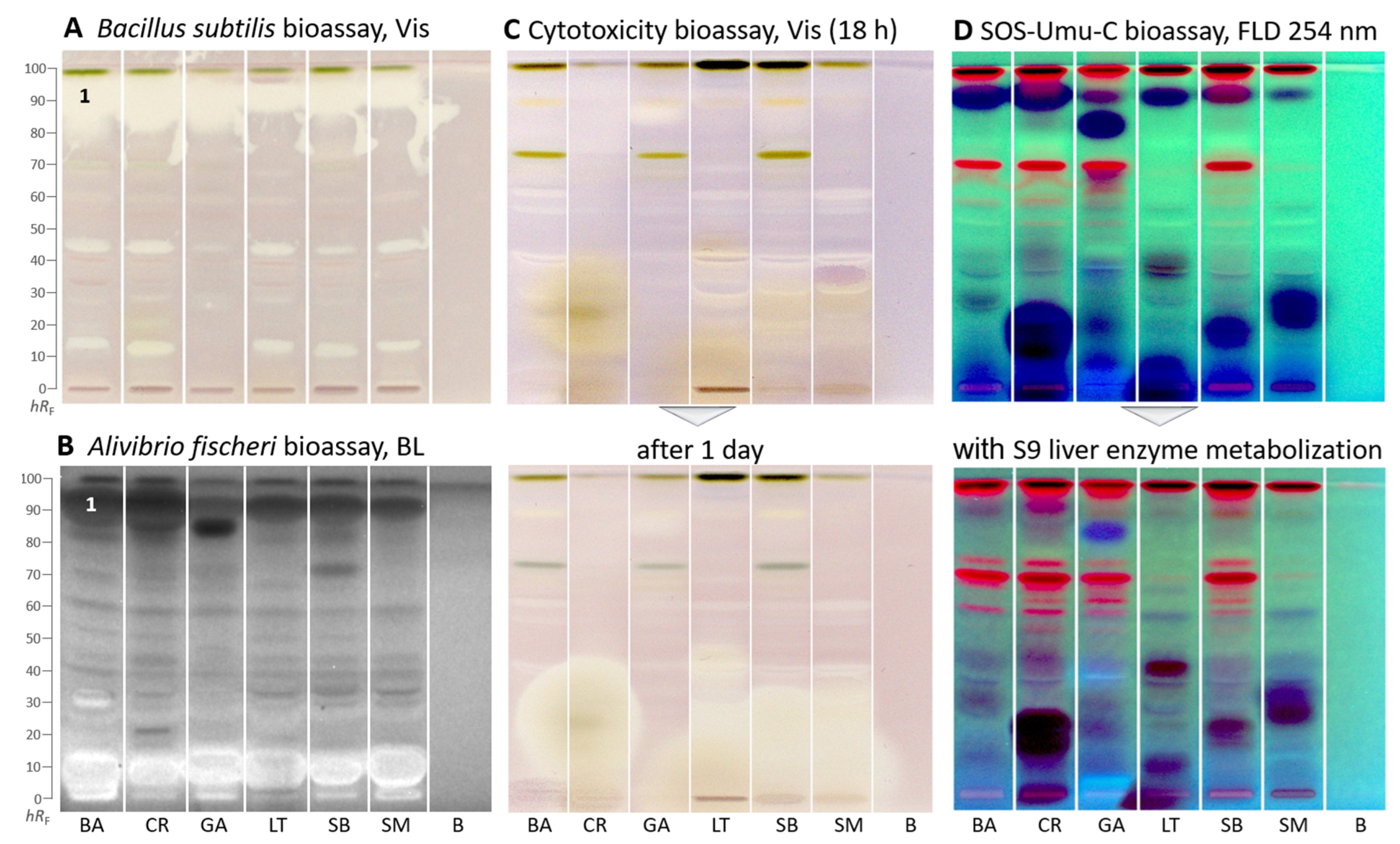 Molecules 29 00733 g003 Molecules 29 00733 g003