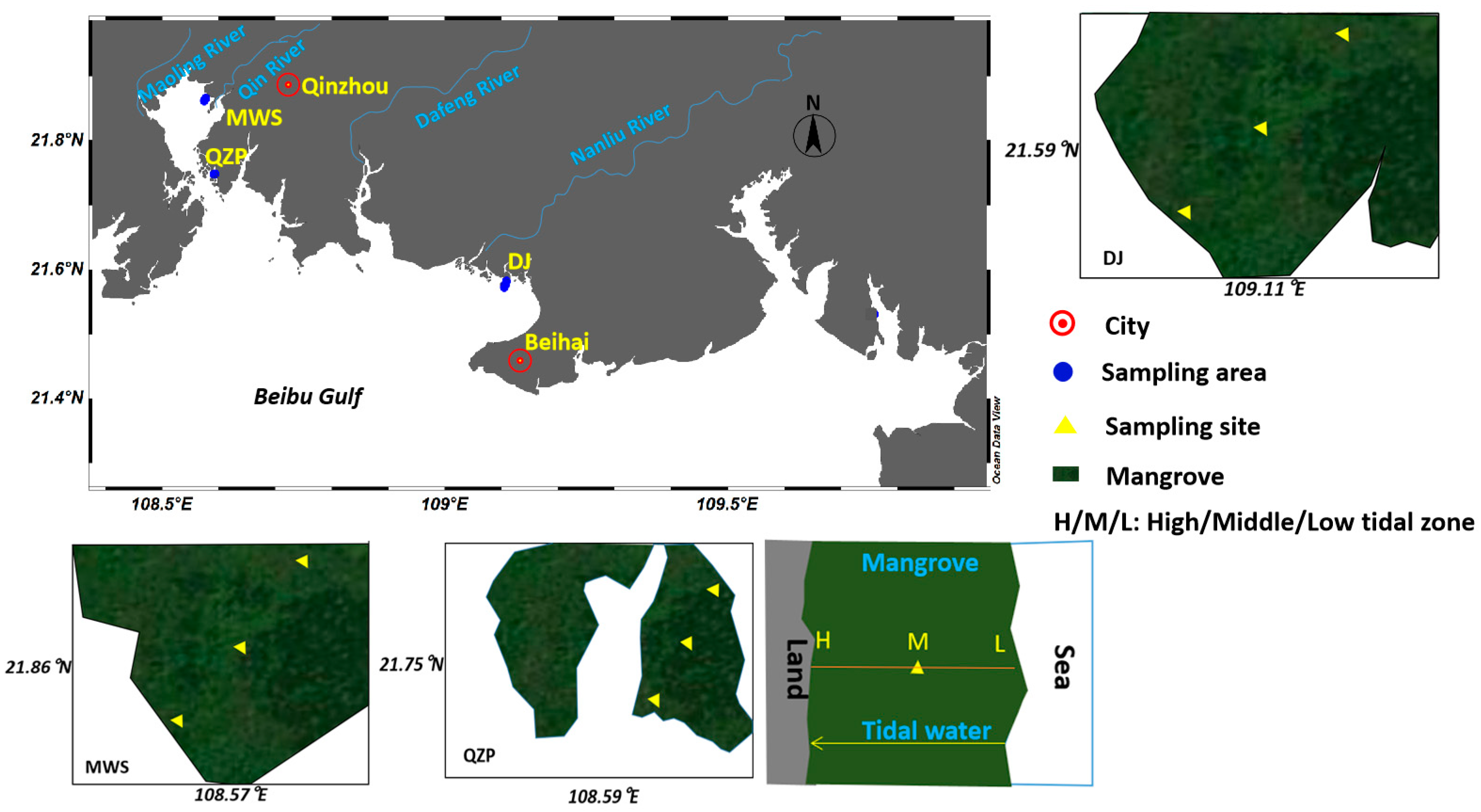 Molecules 29 00736 g004