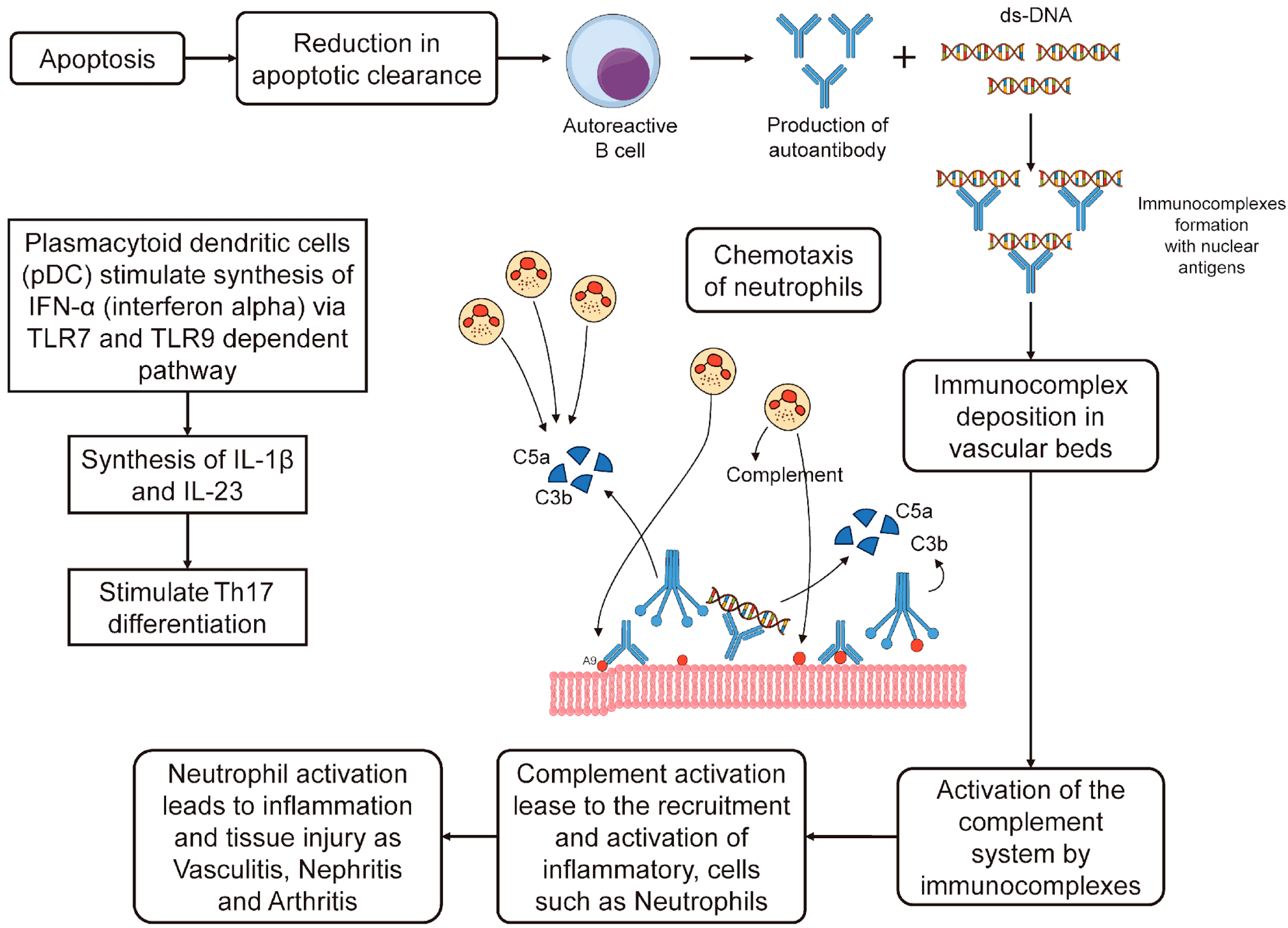 Molecules 29 00747 g001 Molecules 29 00747 g001