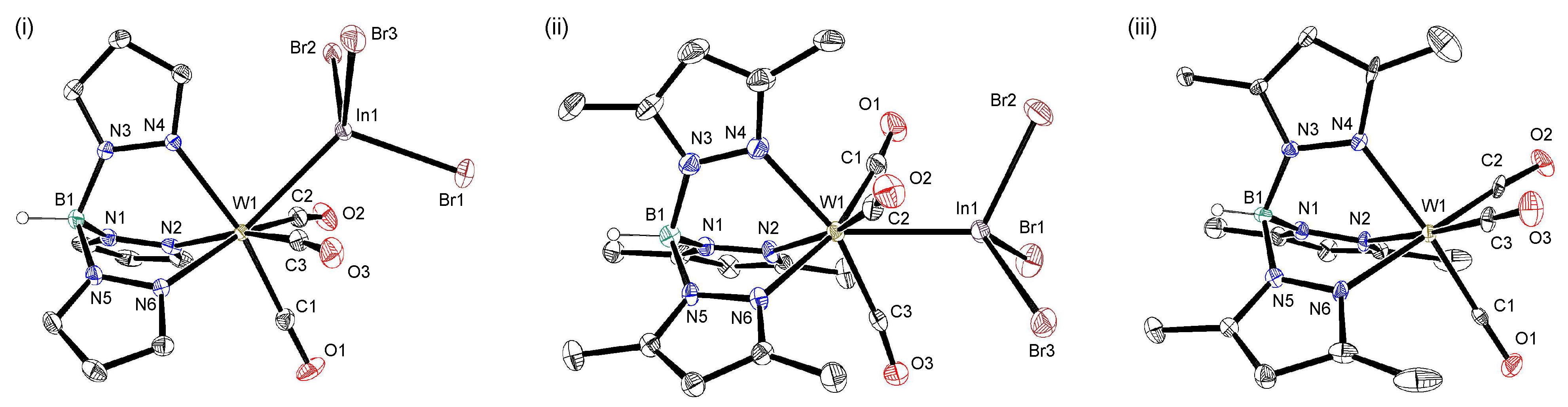 Molecules 29 00757 g004