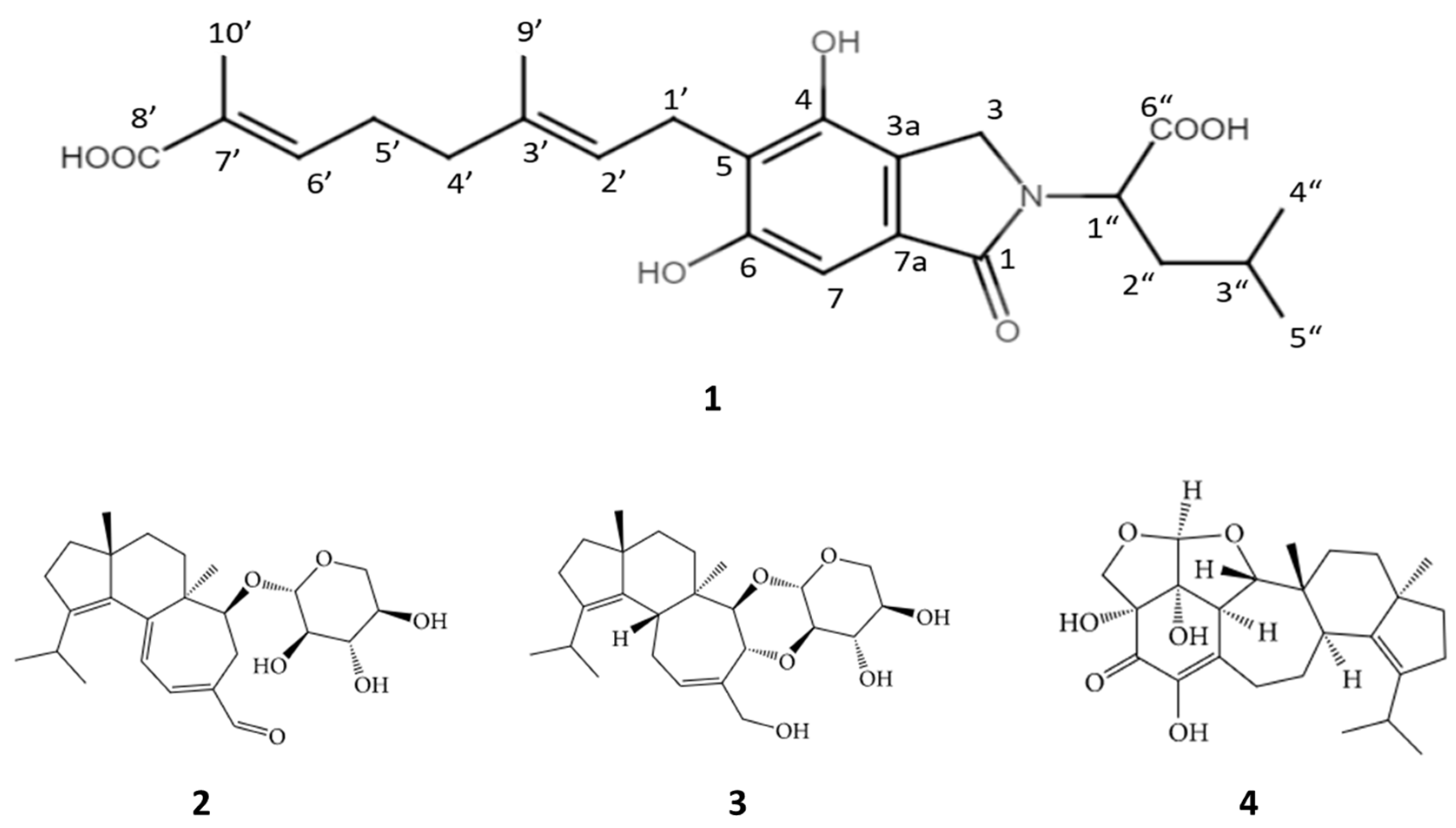 Molecules 29 00812 g001