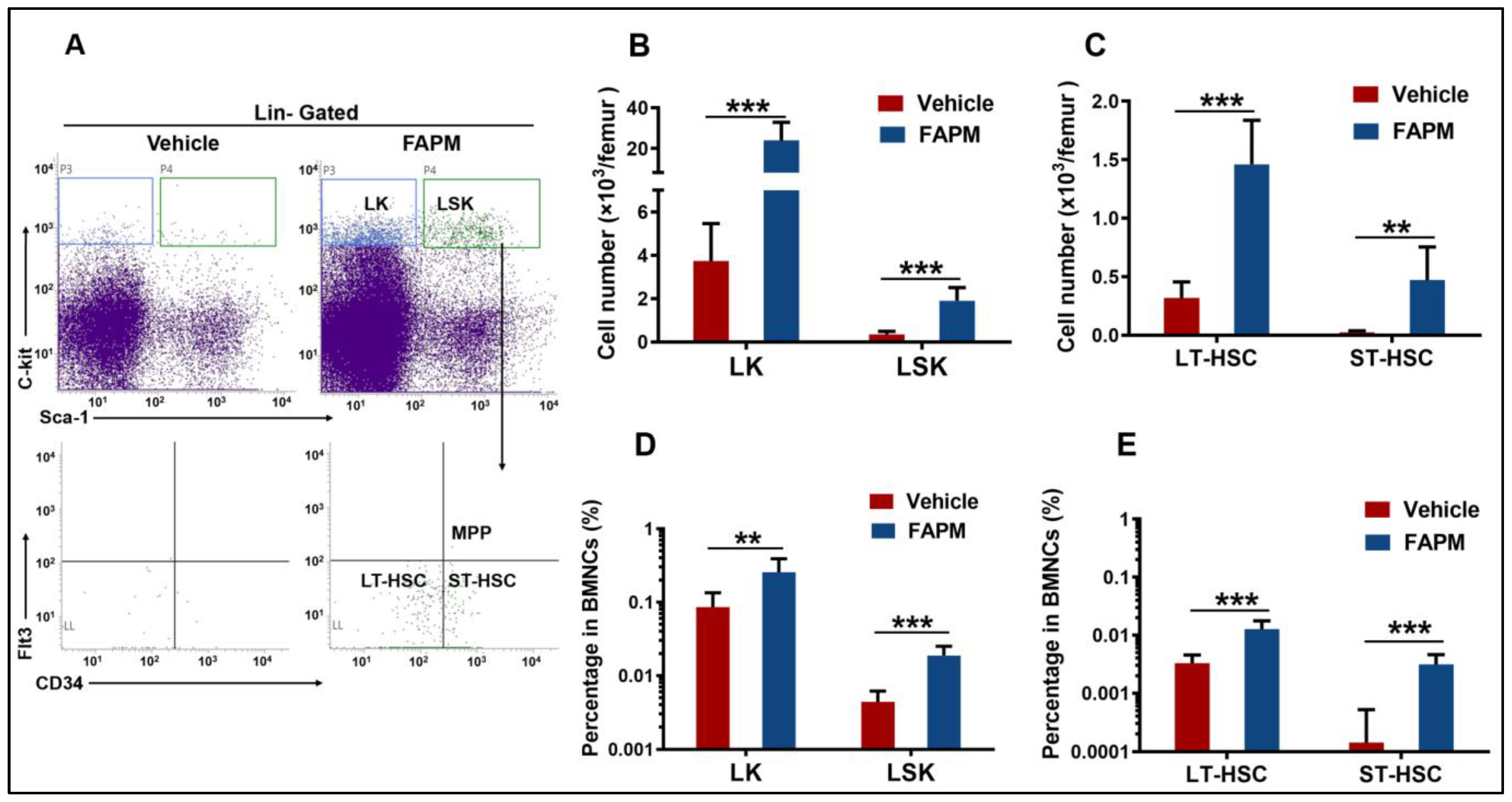 Molecules 29 00816 g003